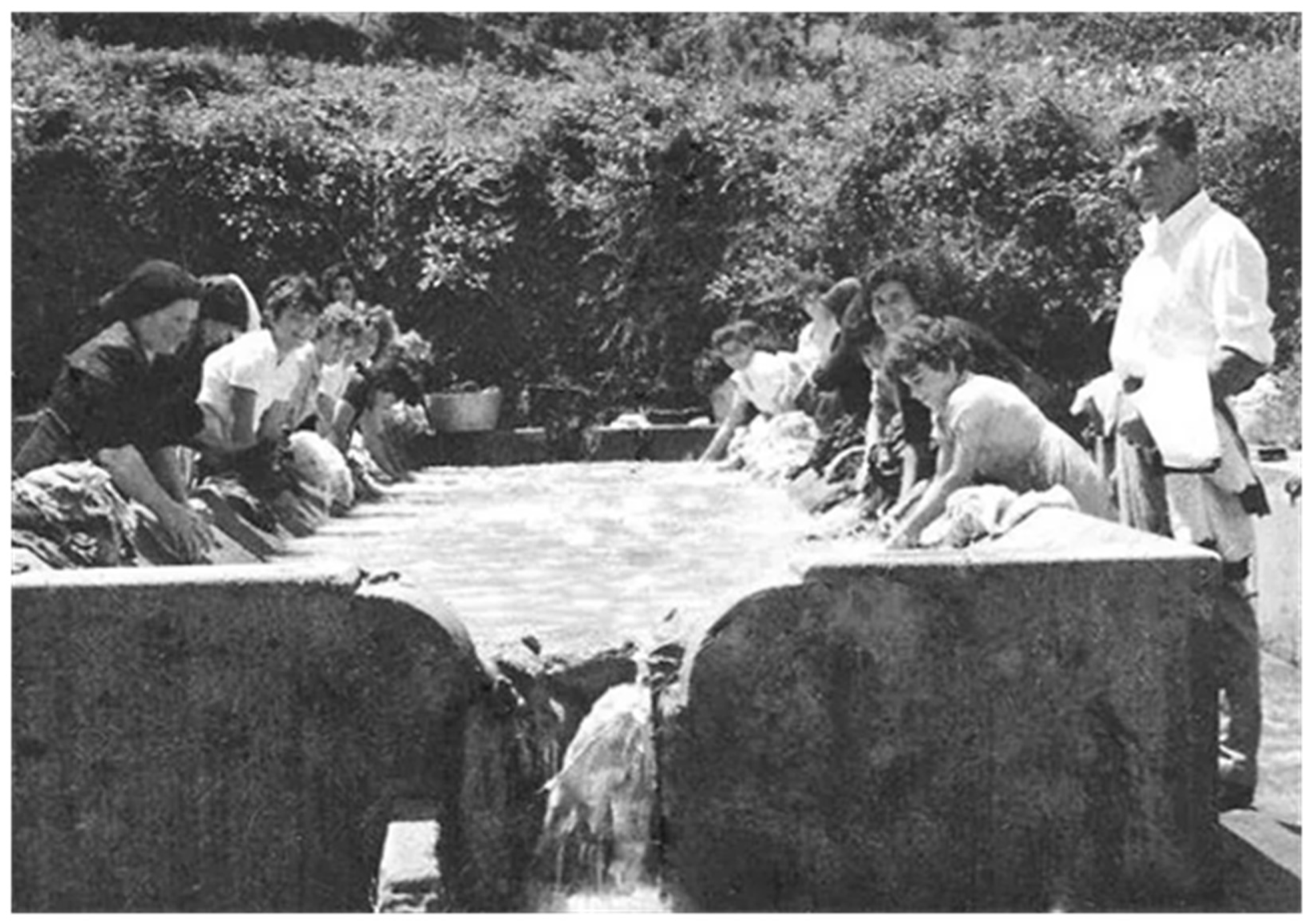 Environments 11 00110 g005 Environments 11 00110 g005