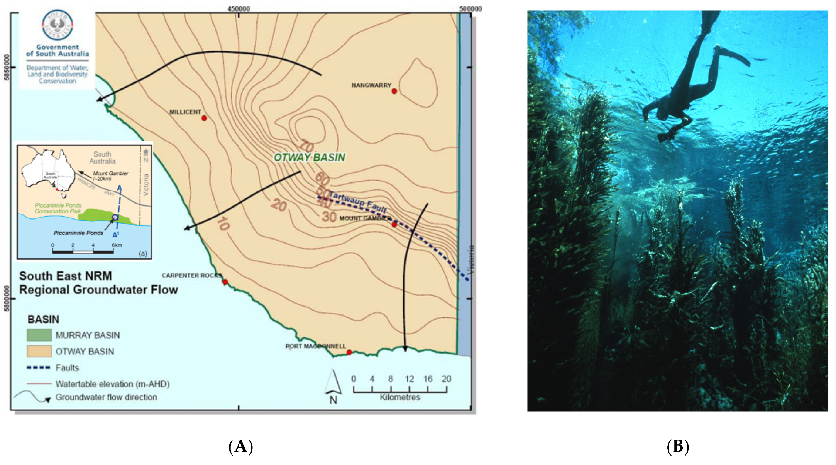 Environments 11 00110 g036 Environments 11 00110 g036