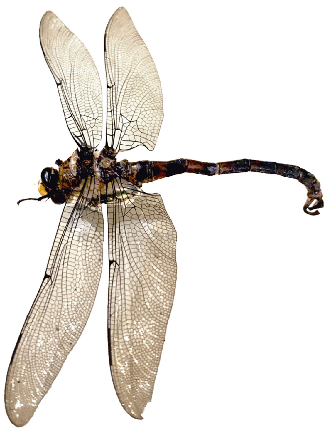 Environments 11 00110 g040 Environments 11 00110 g040