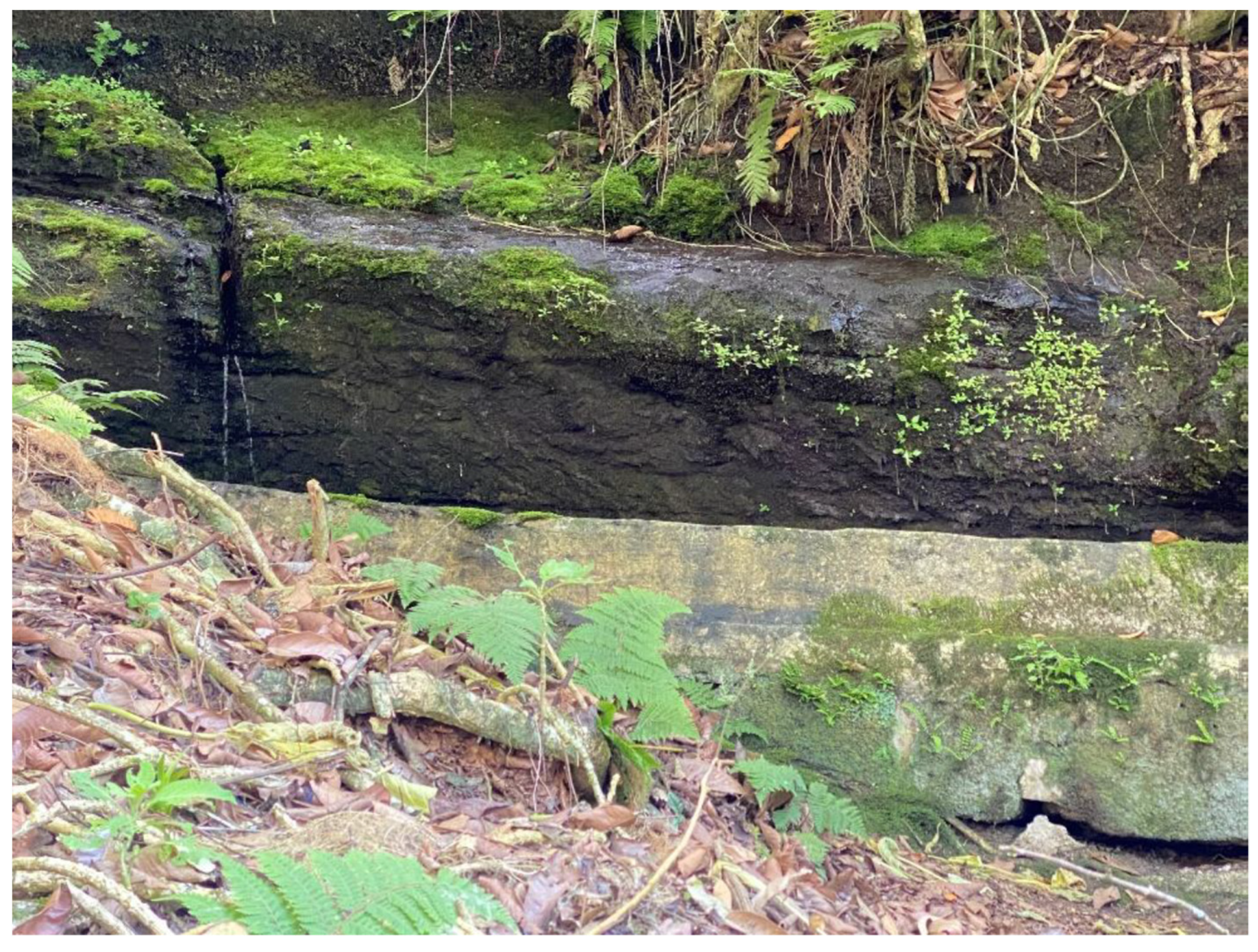 Environments 11 00110 g041 Environments 11 00110 g041