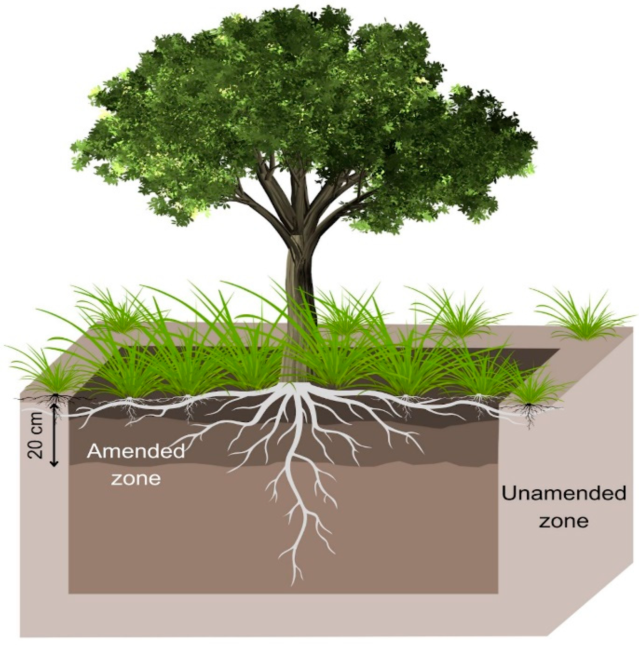 Environments 11 00122 g003