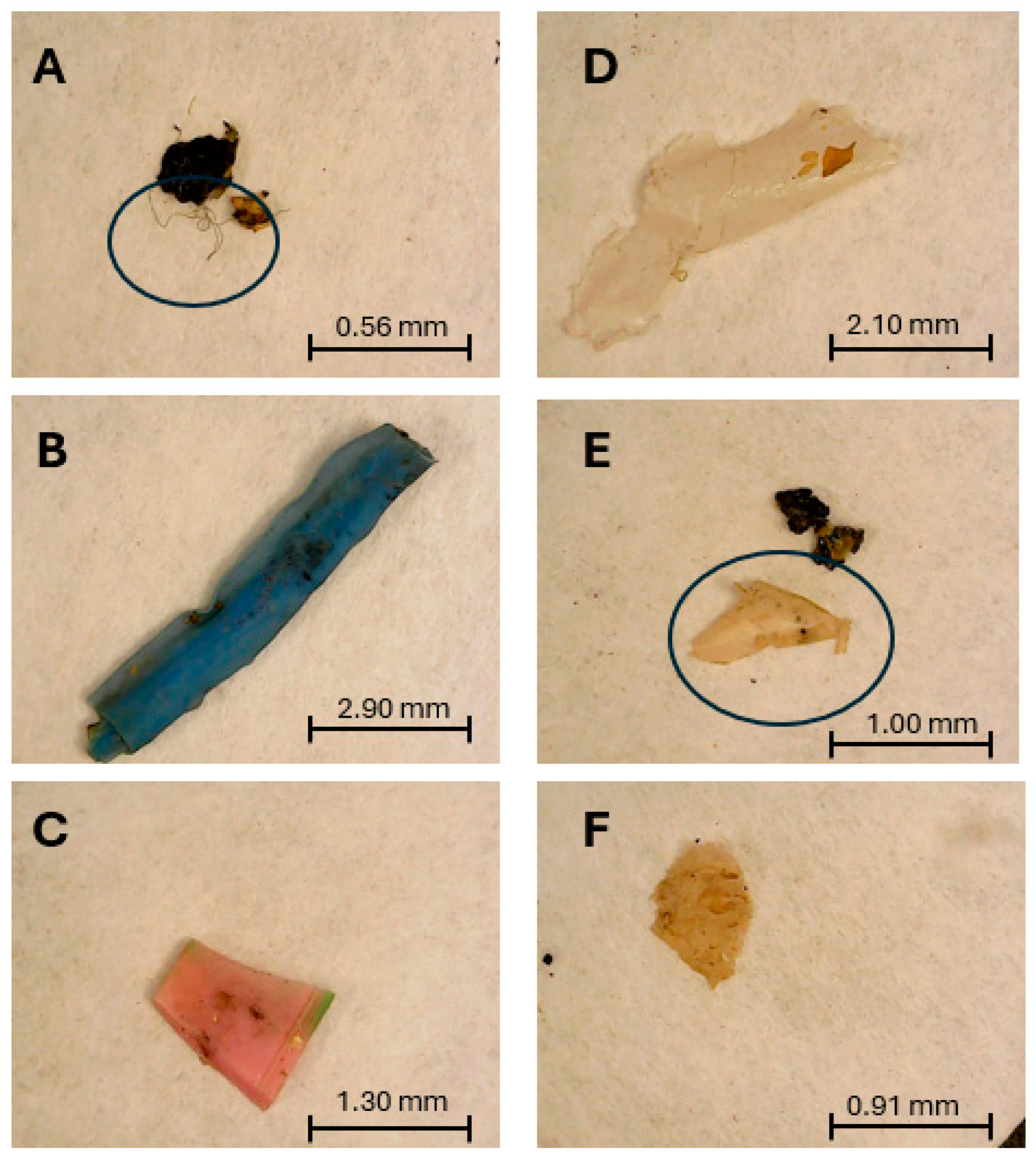 Environments 11 00146 g010