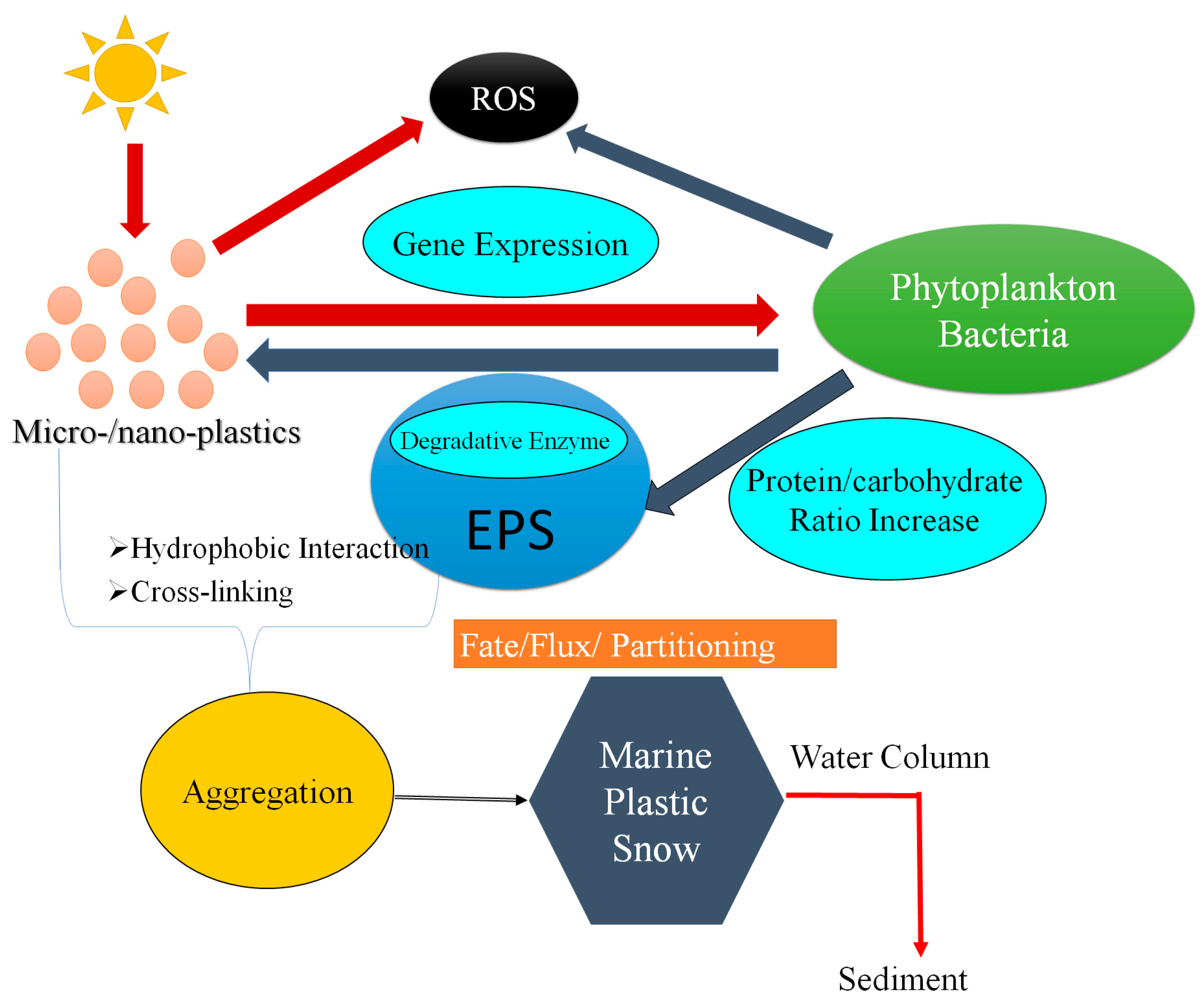 Environments 11 00165 g001 Environments 11 00165 g001