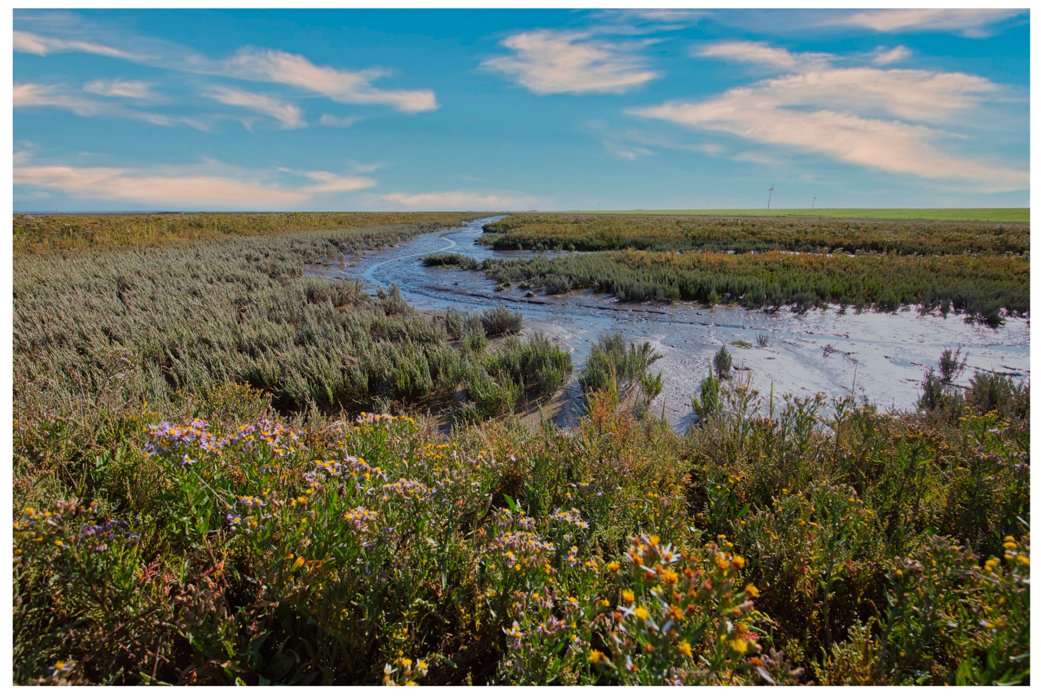 Environments 11 00191 g005