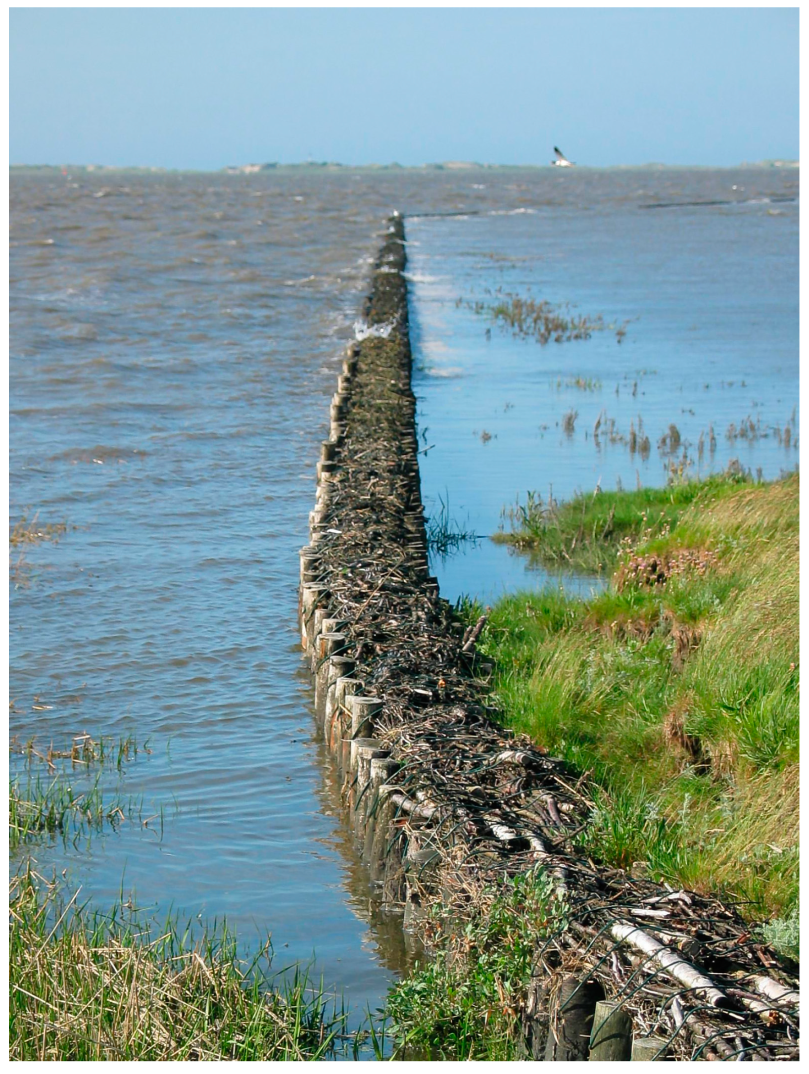 Environments 11 00191 g010