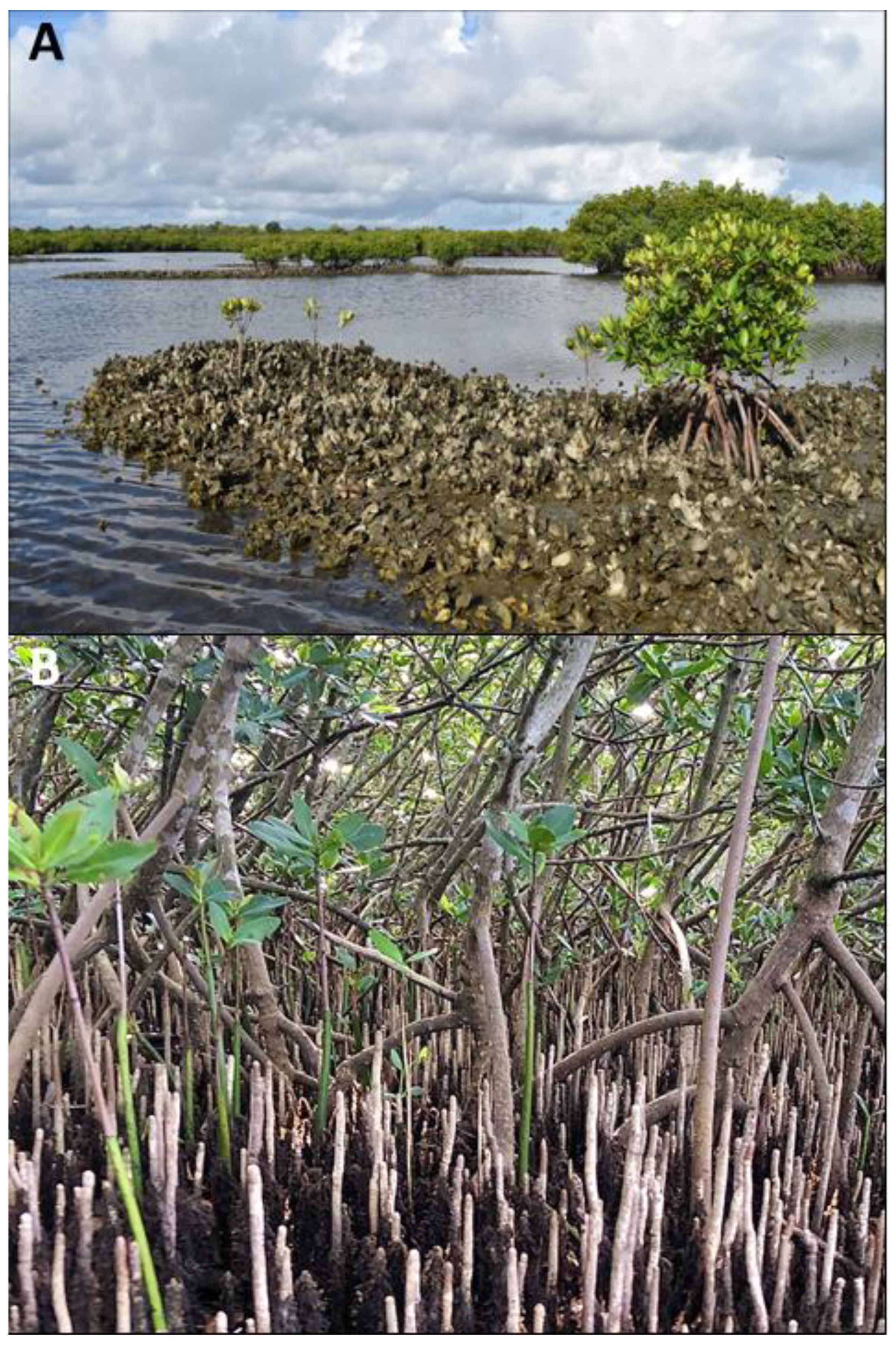 Environments 11 00193 g001