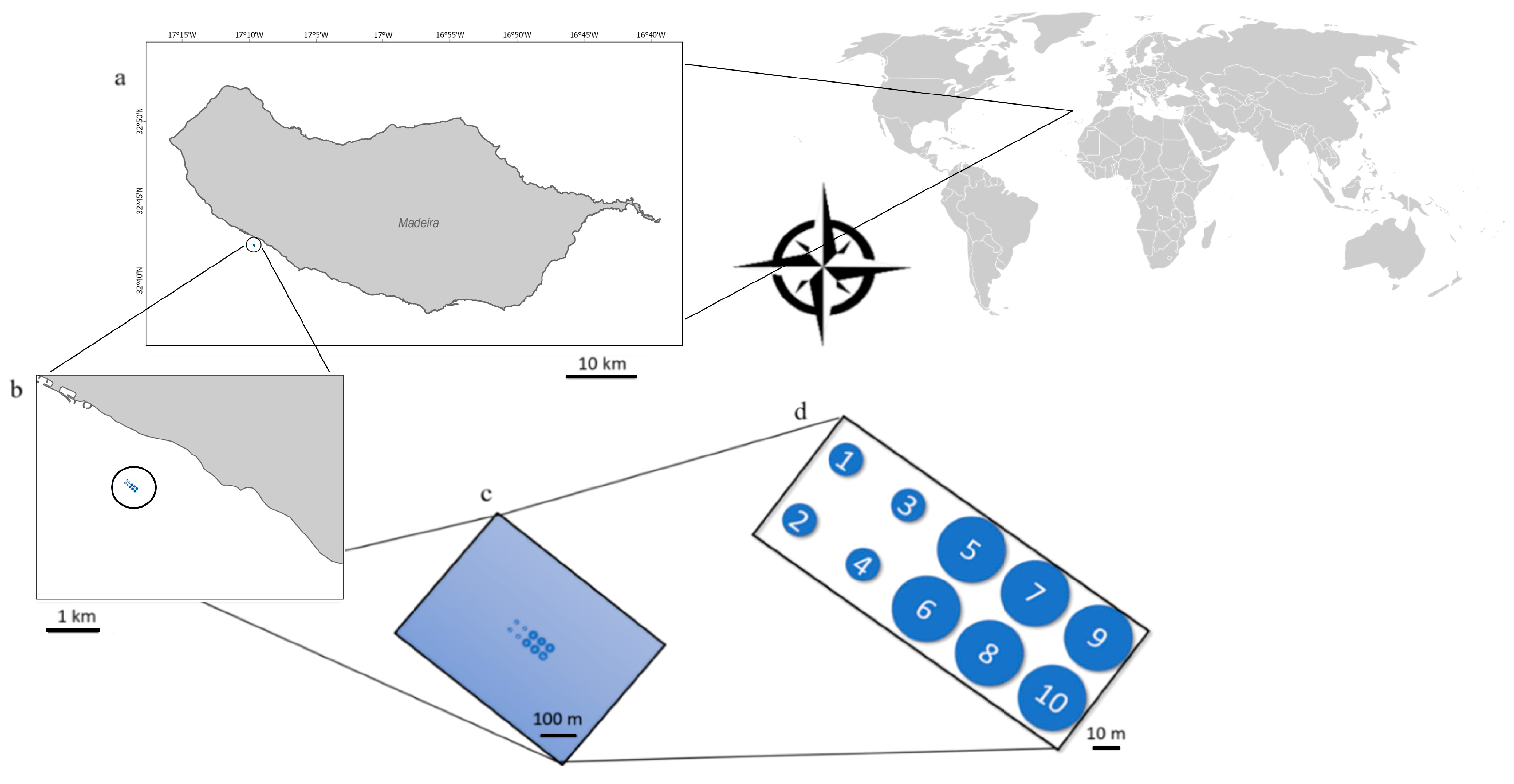 Environments 11 00202 g001