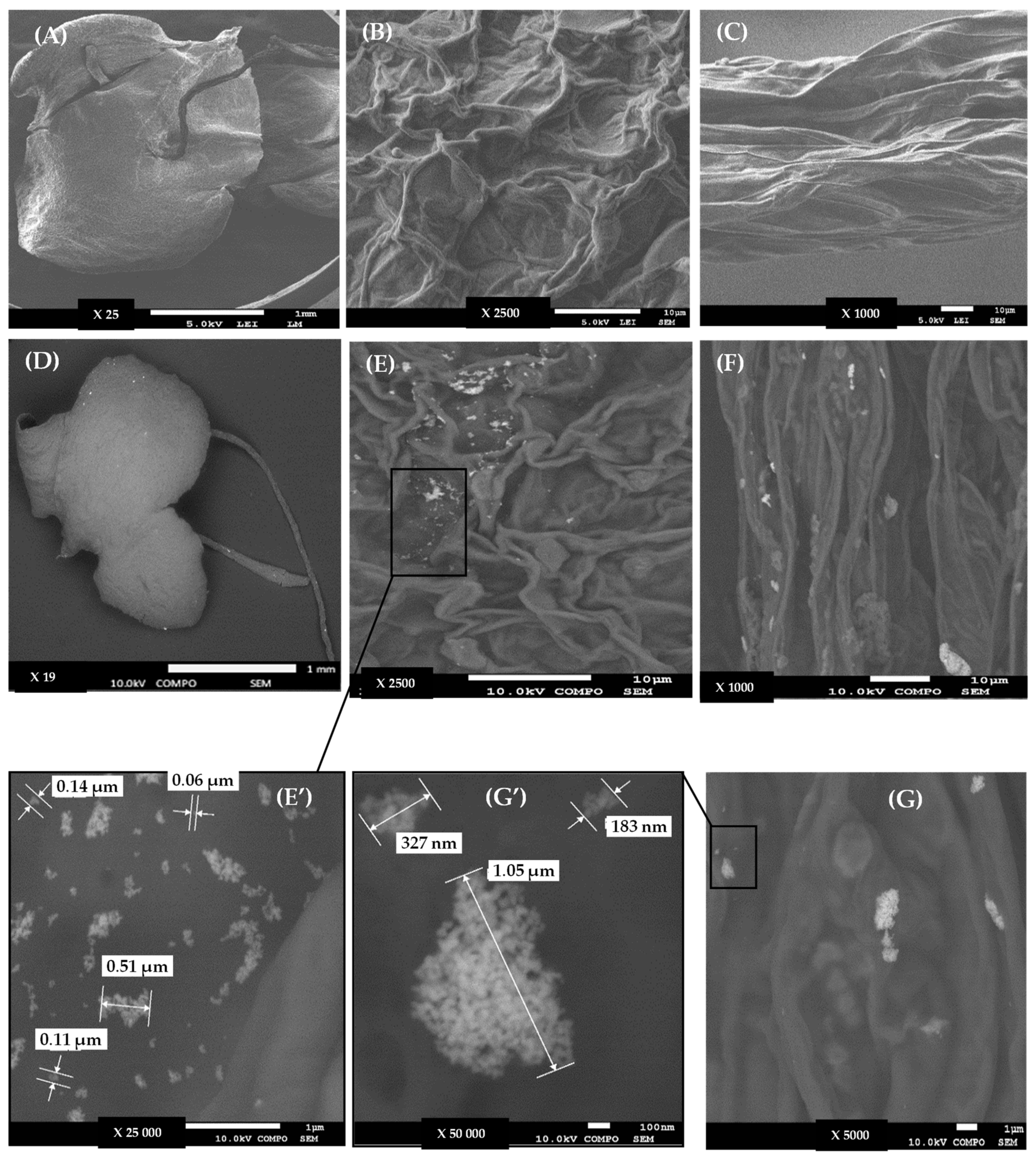 Environments 11 00222 g001