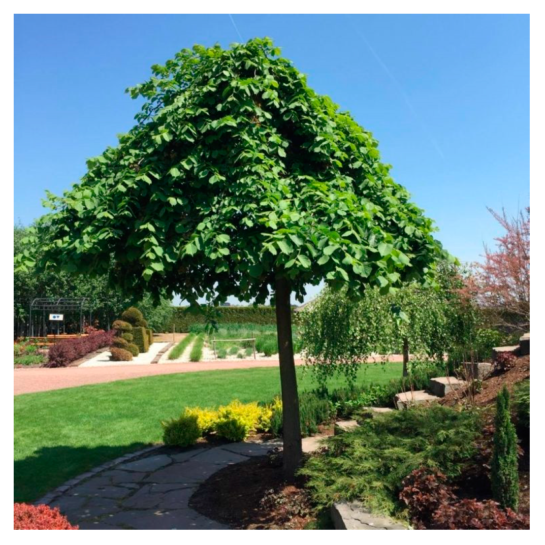 Environments 11 00252 g004 Environments 11 00252 g004