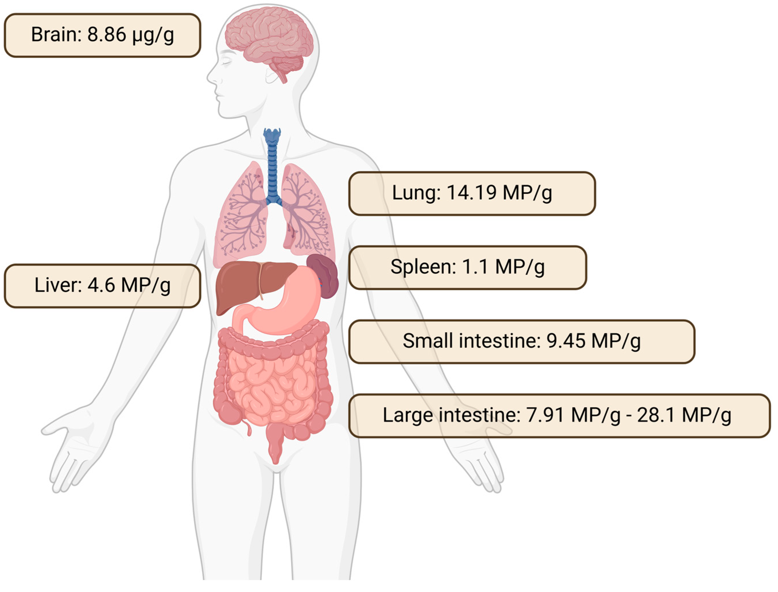 Environments 11 00263 g001