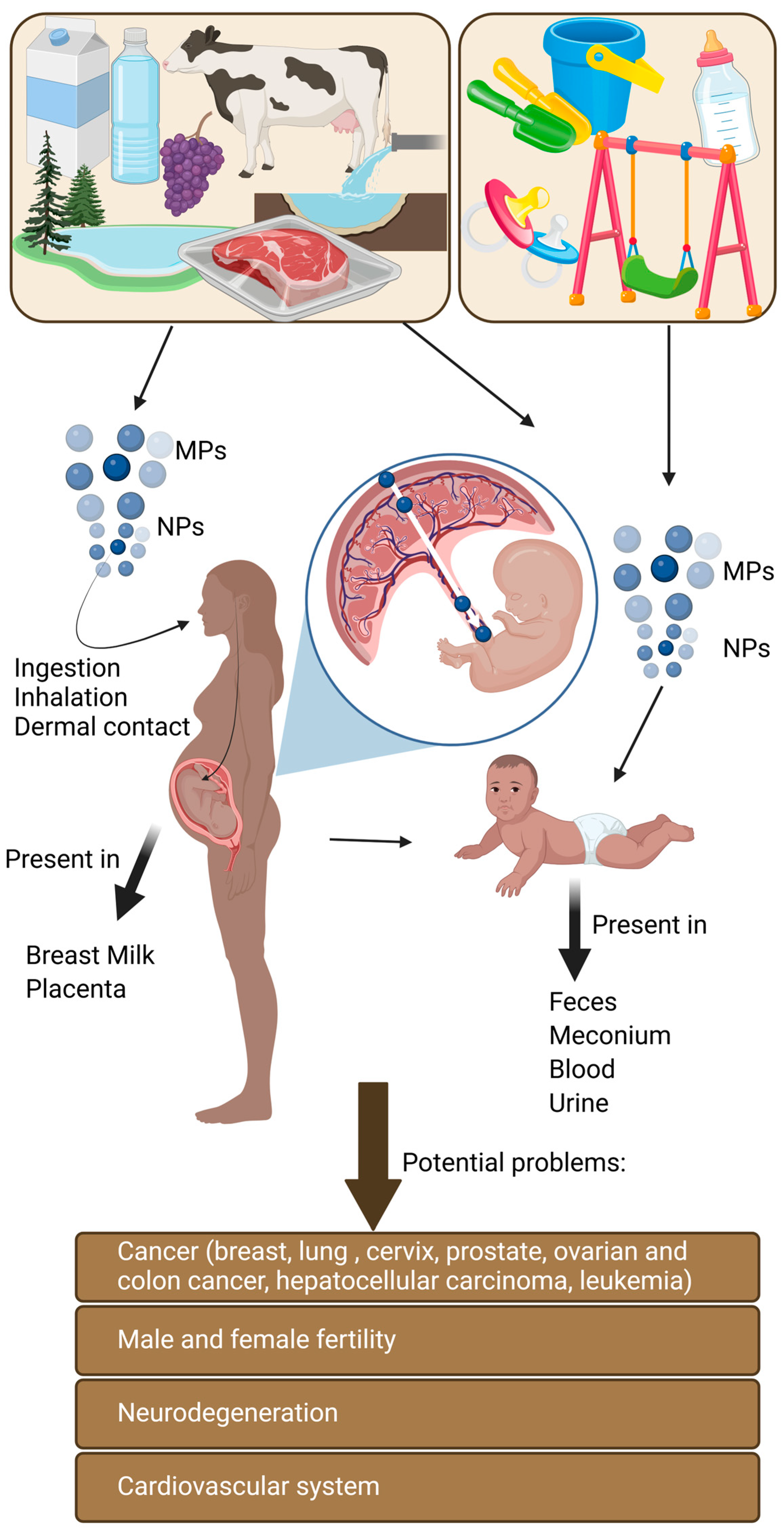 Environments 11 00263 g002