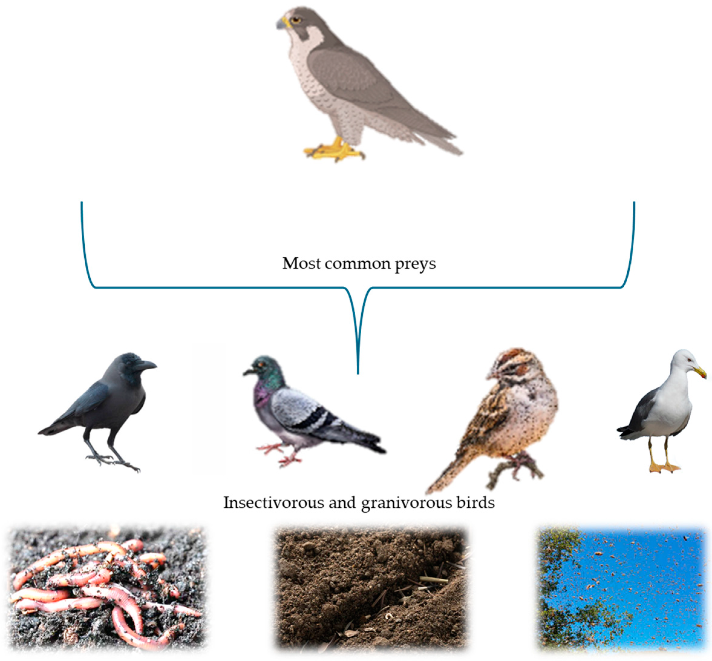 Environments 11 00264 g001 Environments 11 00264 g001