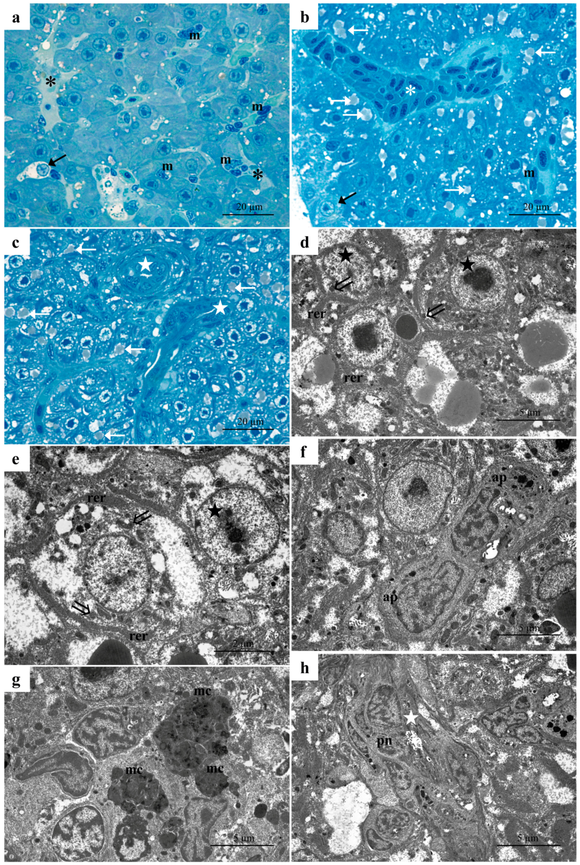 Environments 11 00282 g003