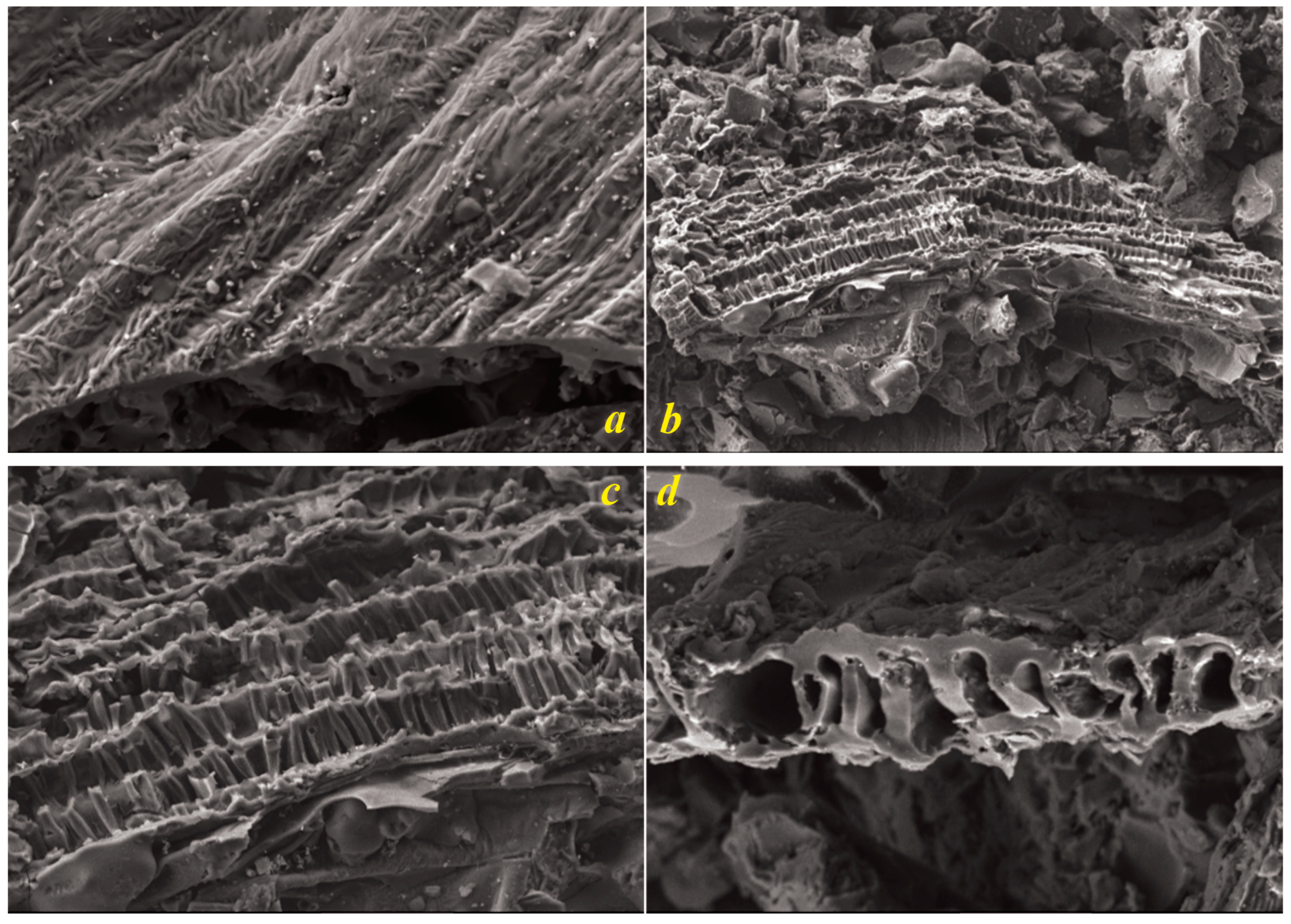 Environments 11 00288 g003