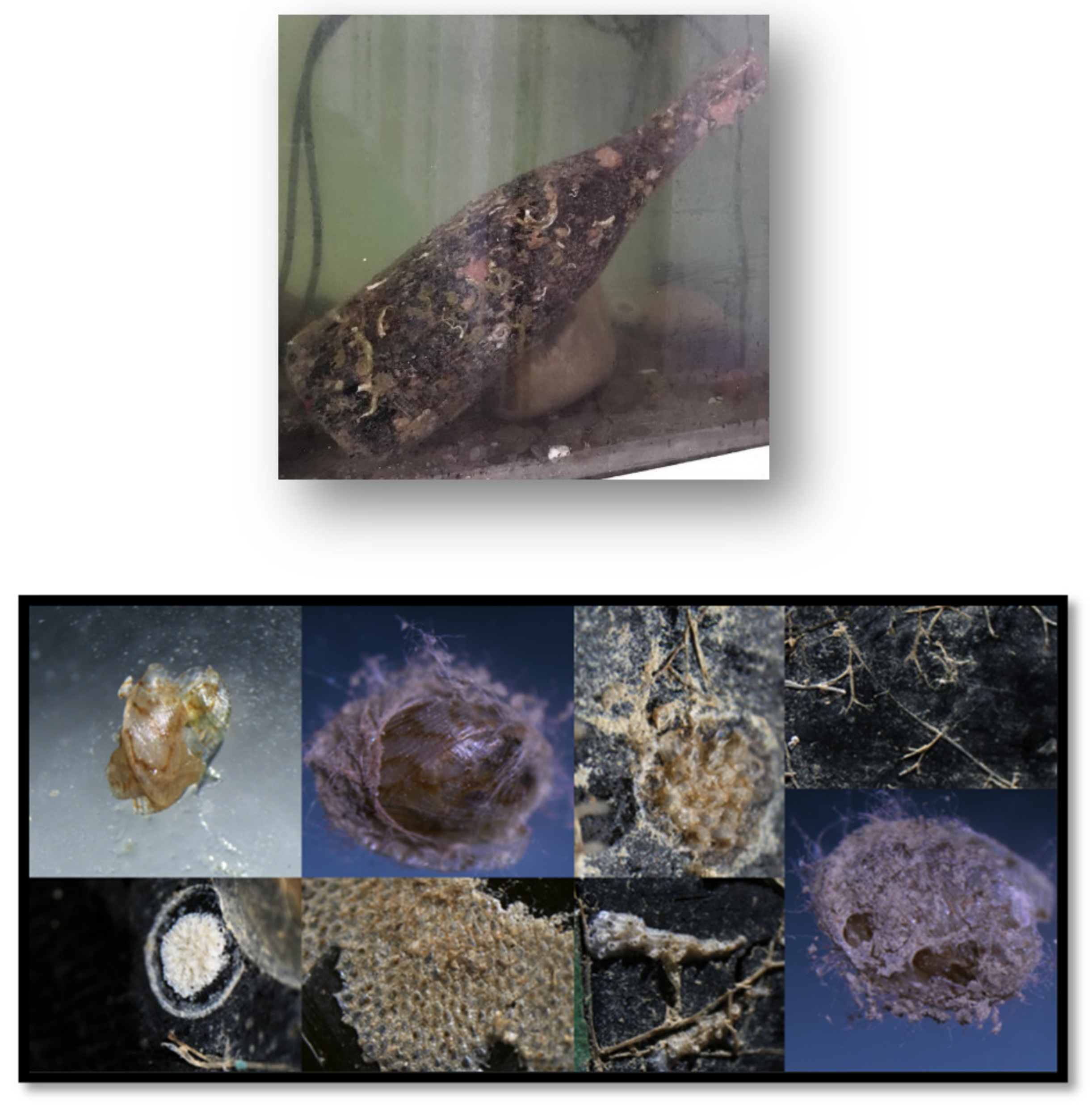 Environments 12 00036 g001