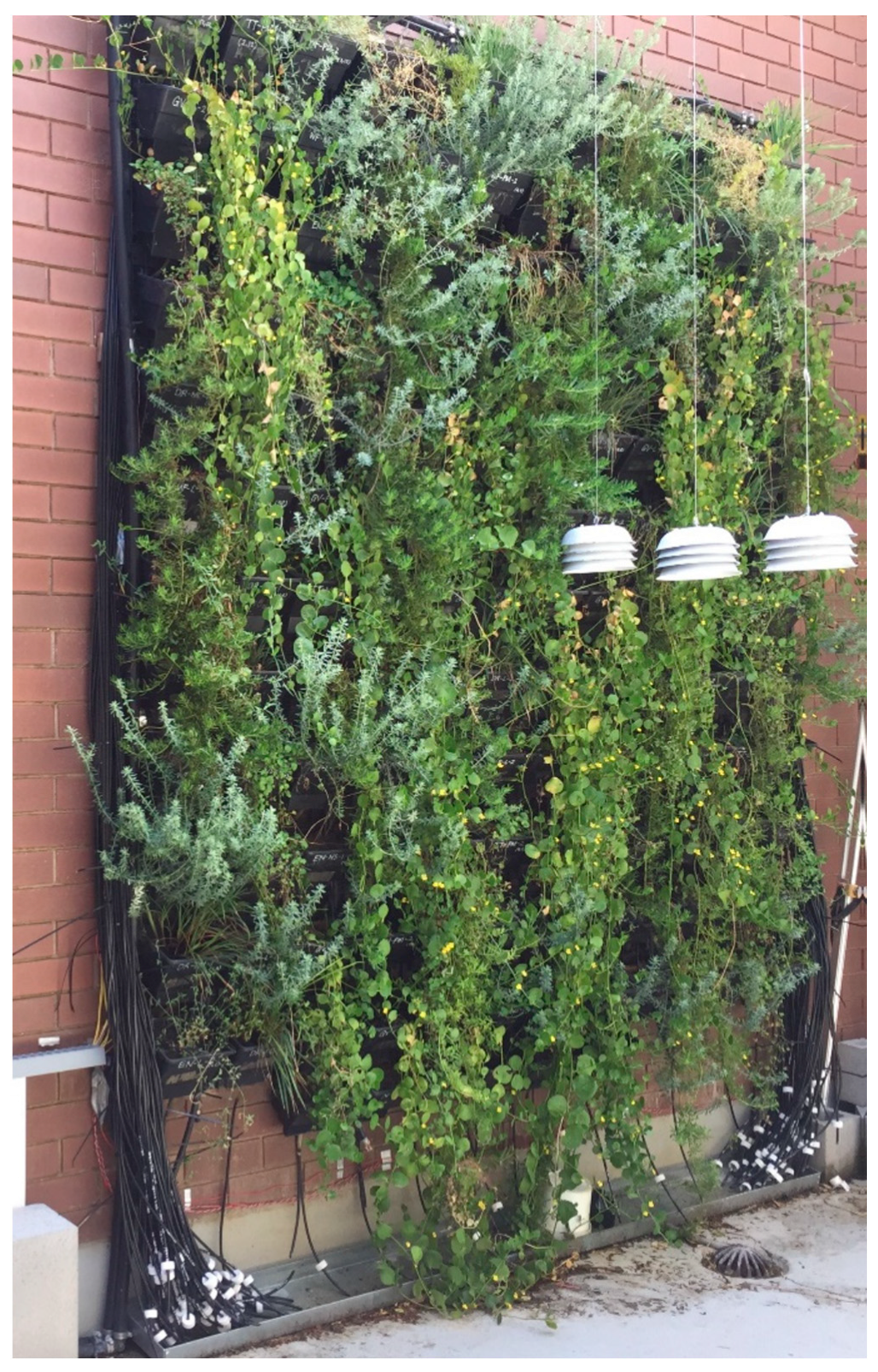 Environments 12 00078 g002