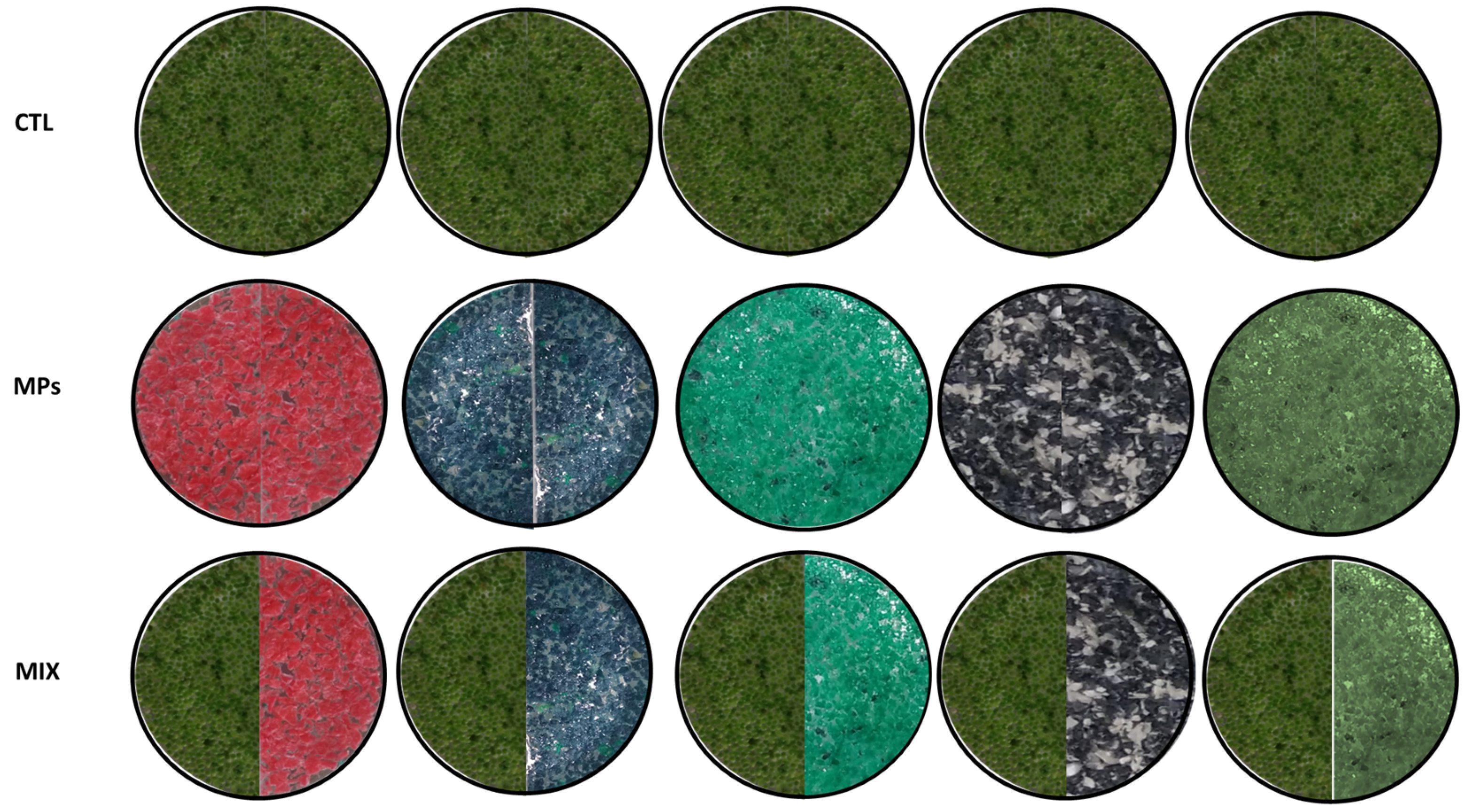 Environments 12 00080 g001