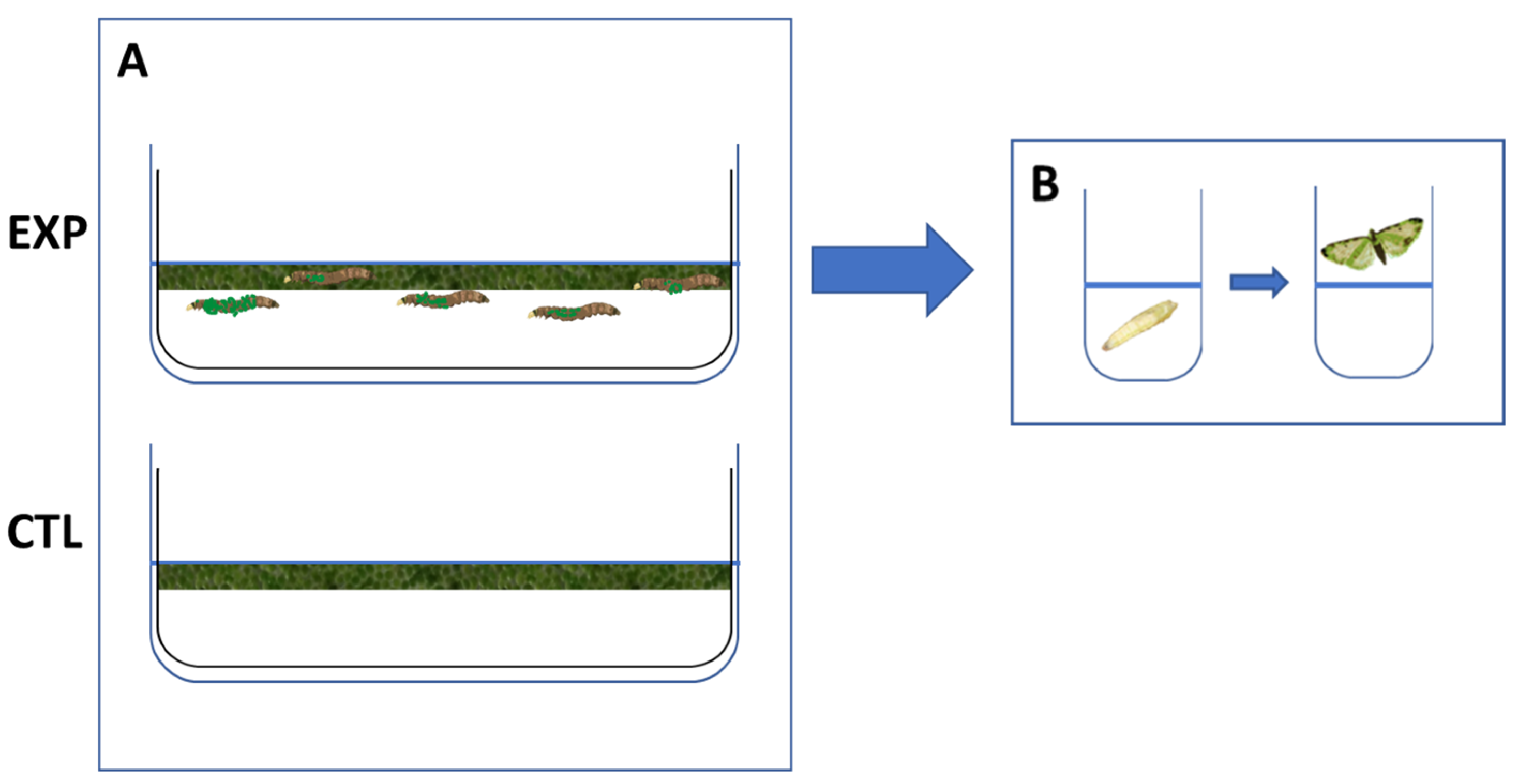 Environments 12 00080 g002