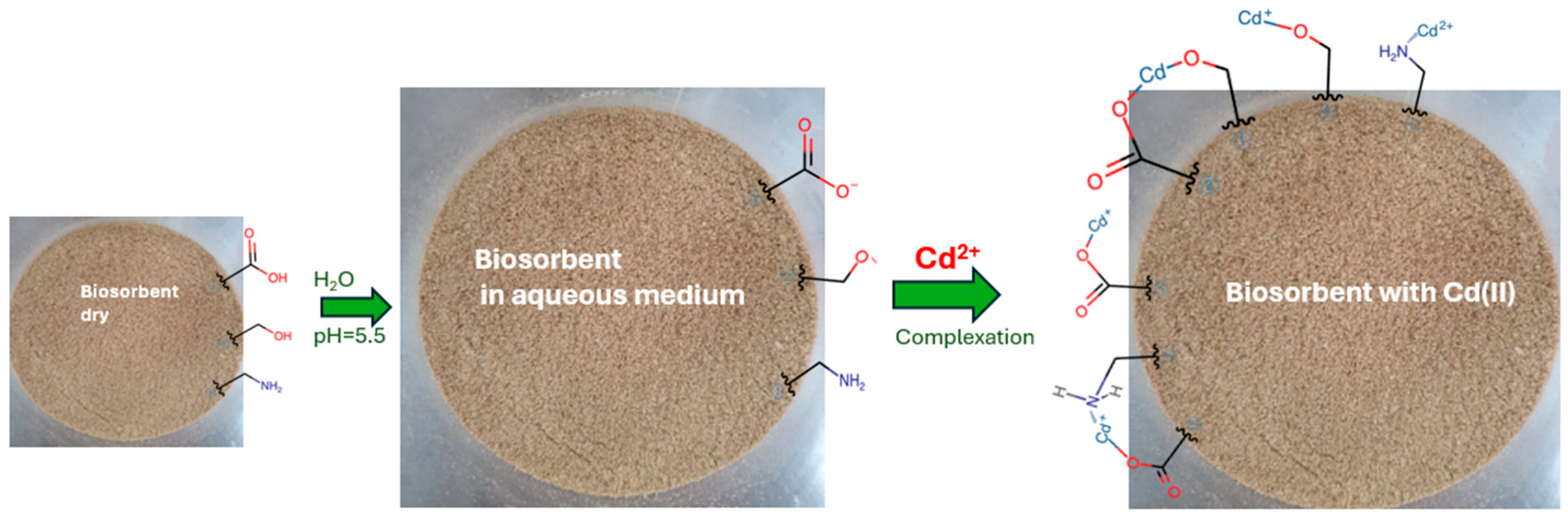 Environments 12 00097 g010