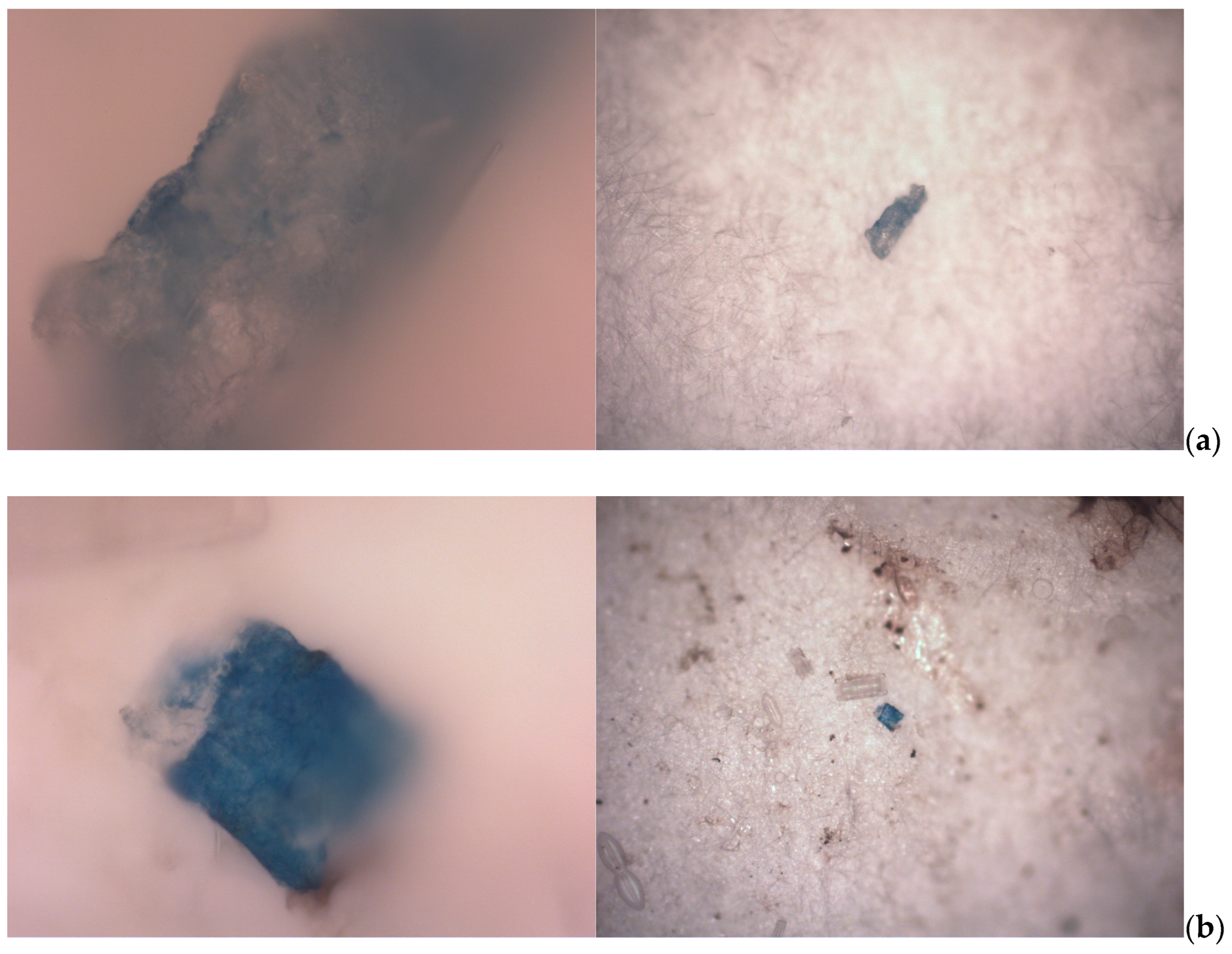 Environments 12 00100 g003a