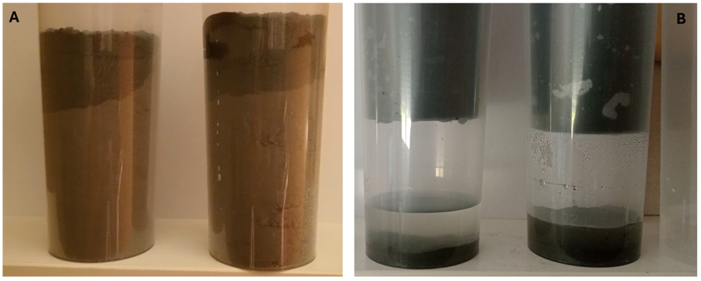 Environments 12 00107 g006