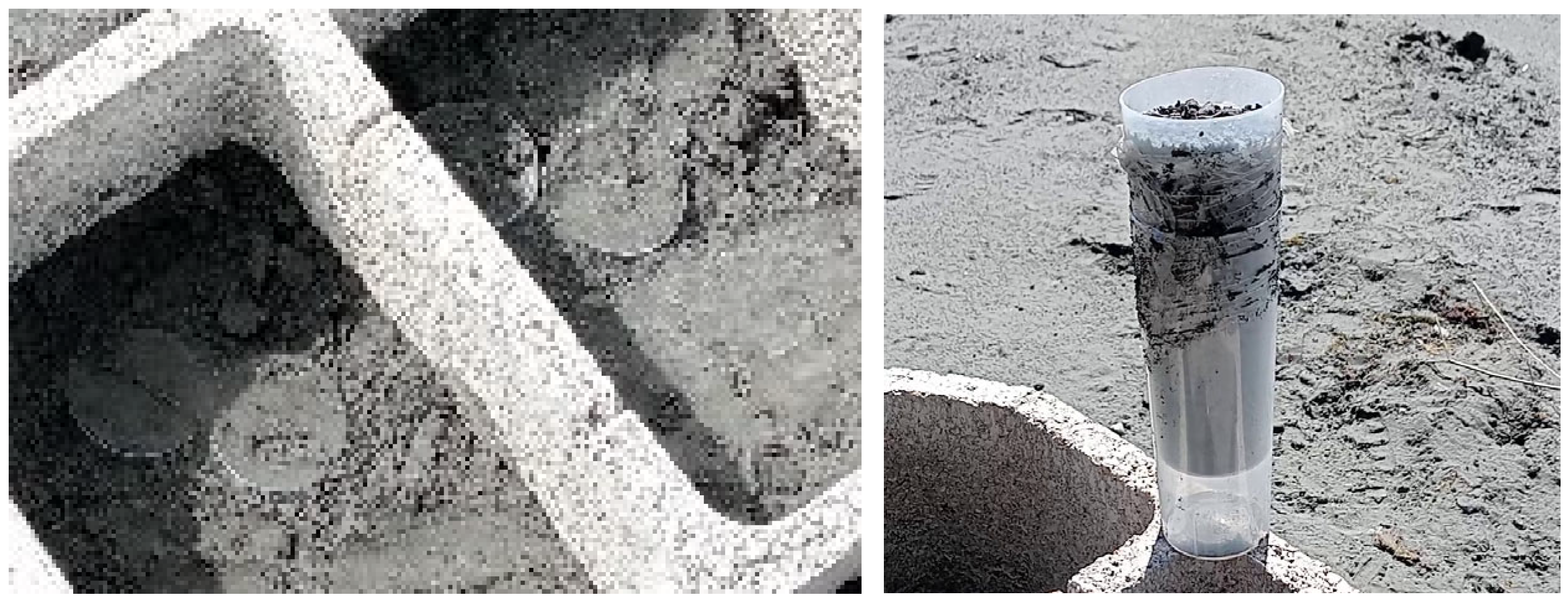 Environments 12 00107 g010