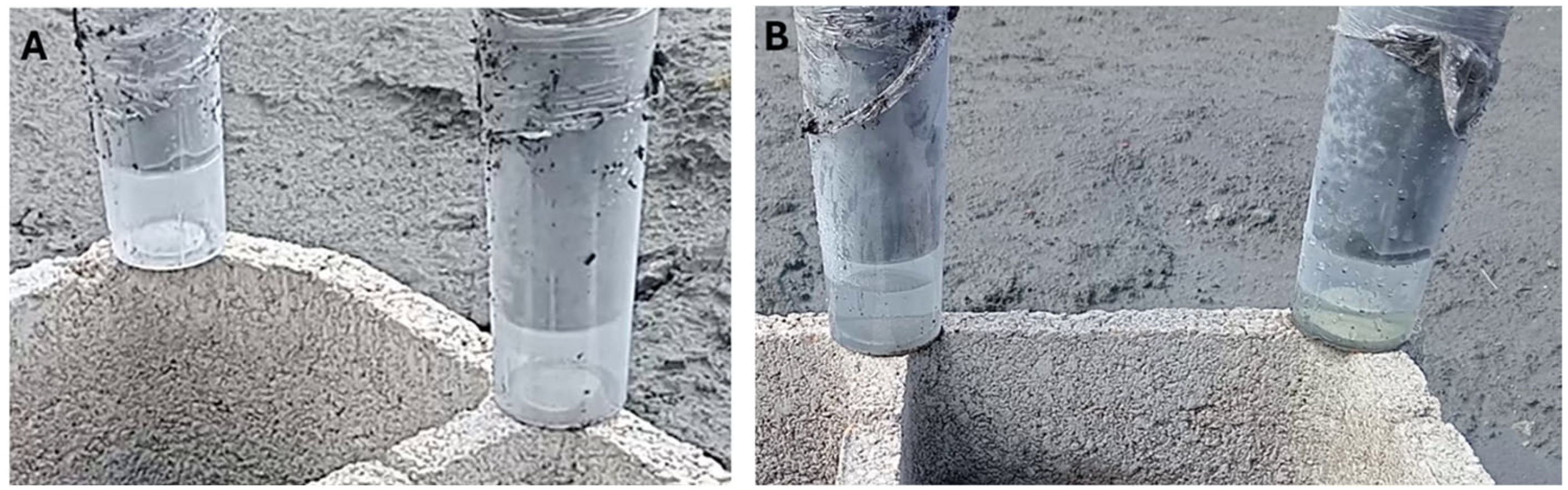 Environments 12 00107 g012