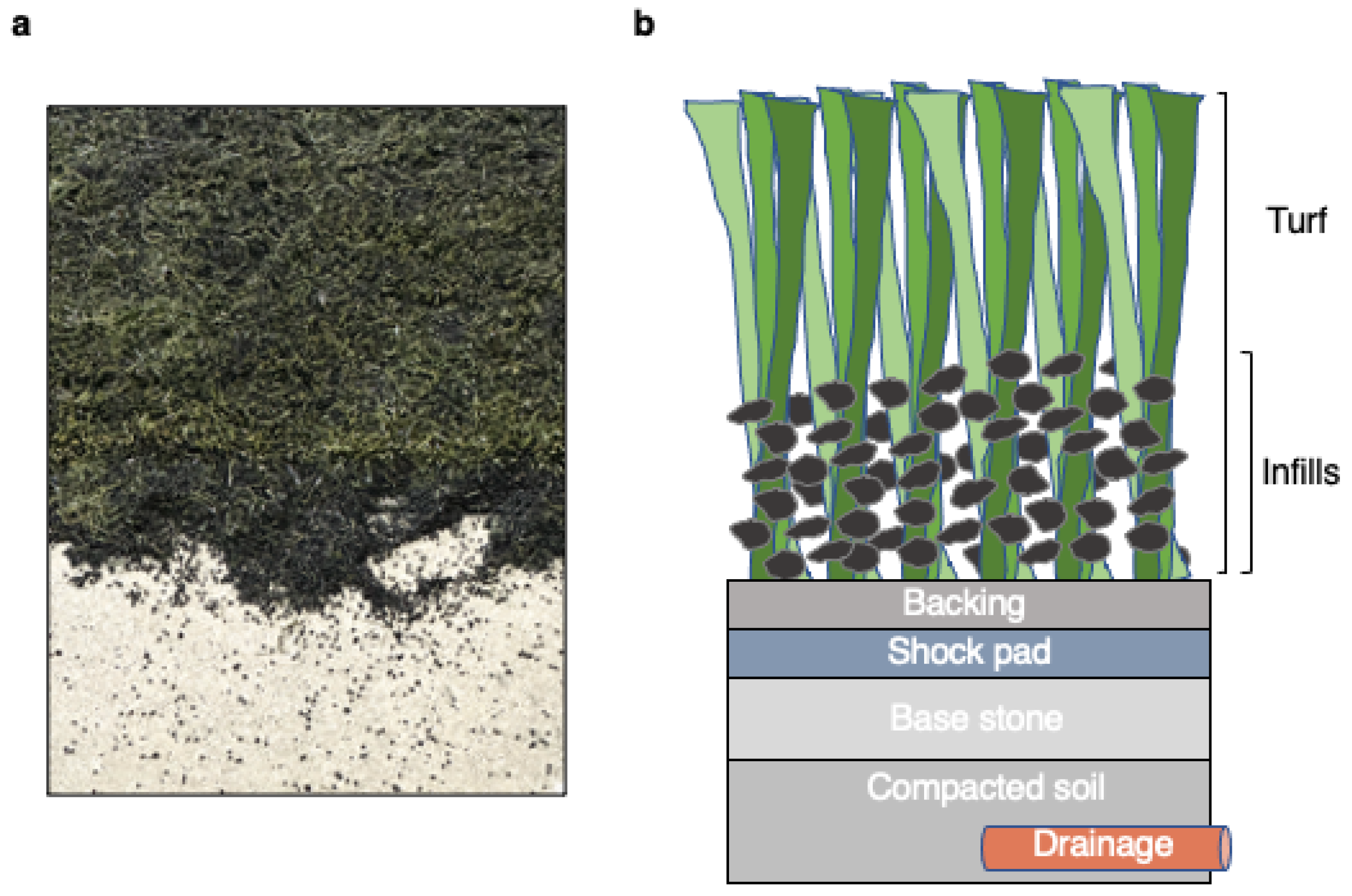 Environments 12 00109 g001 Environments 12 00109 g001