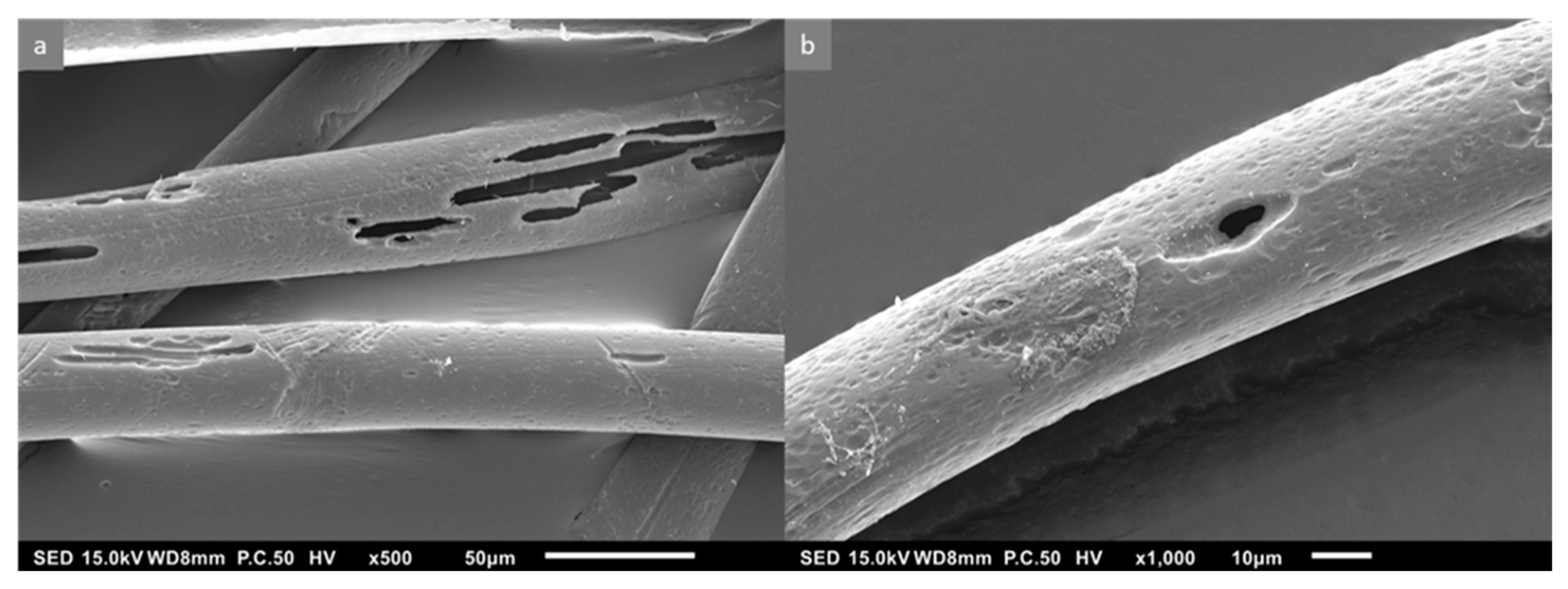 Environments 12 00120 g003