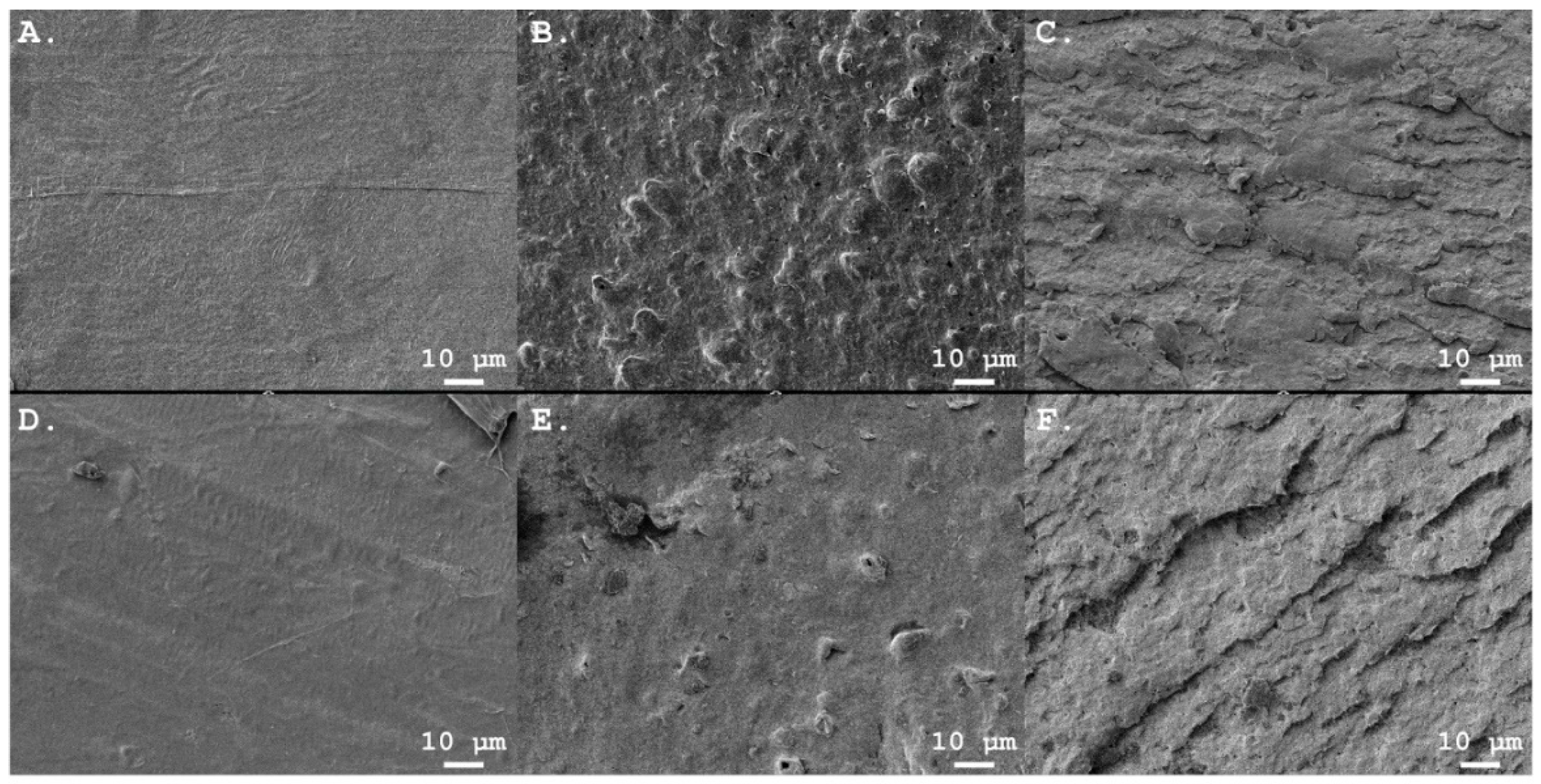 Environments 12 00143 g002