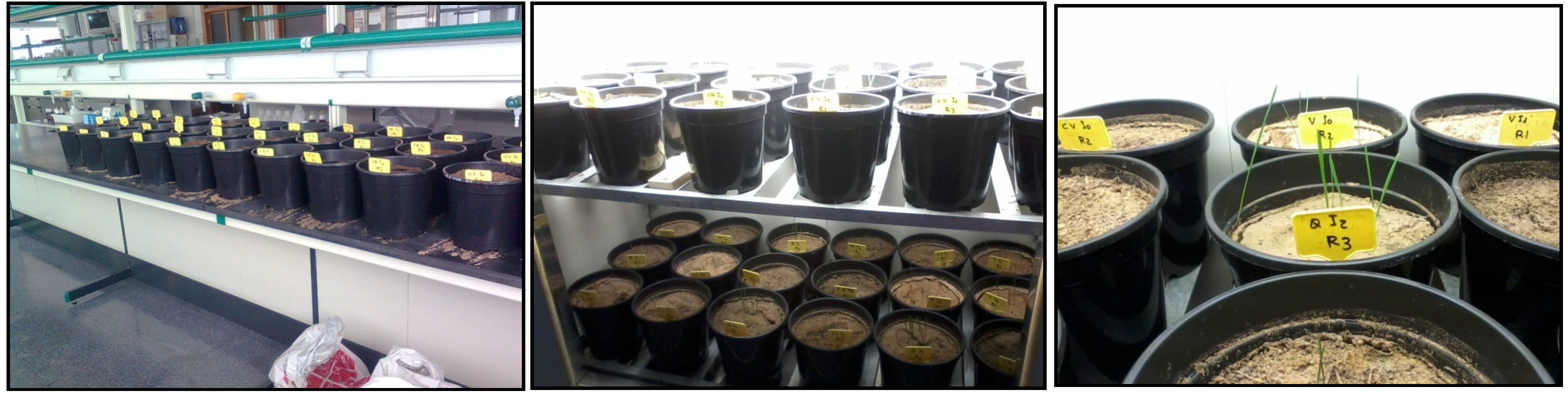 Environments 12 00145 g001