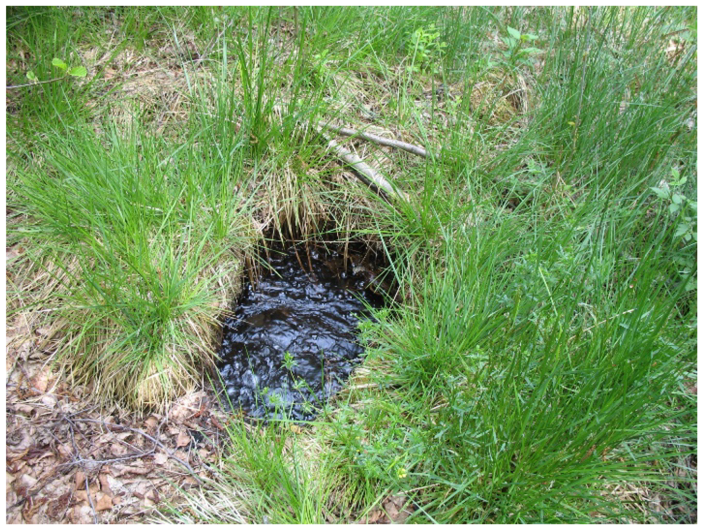 Environments 12 00166 g001