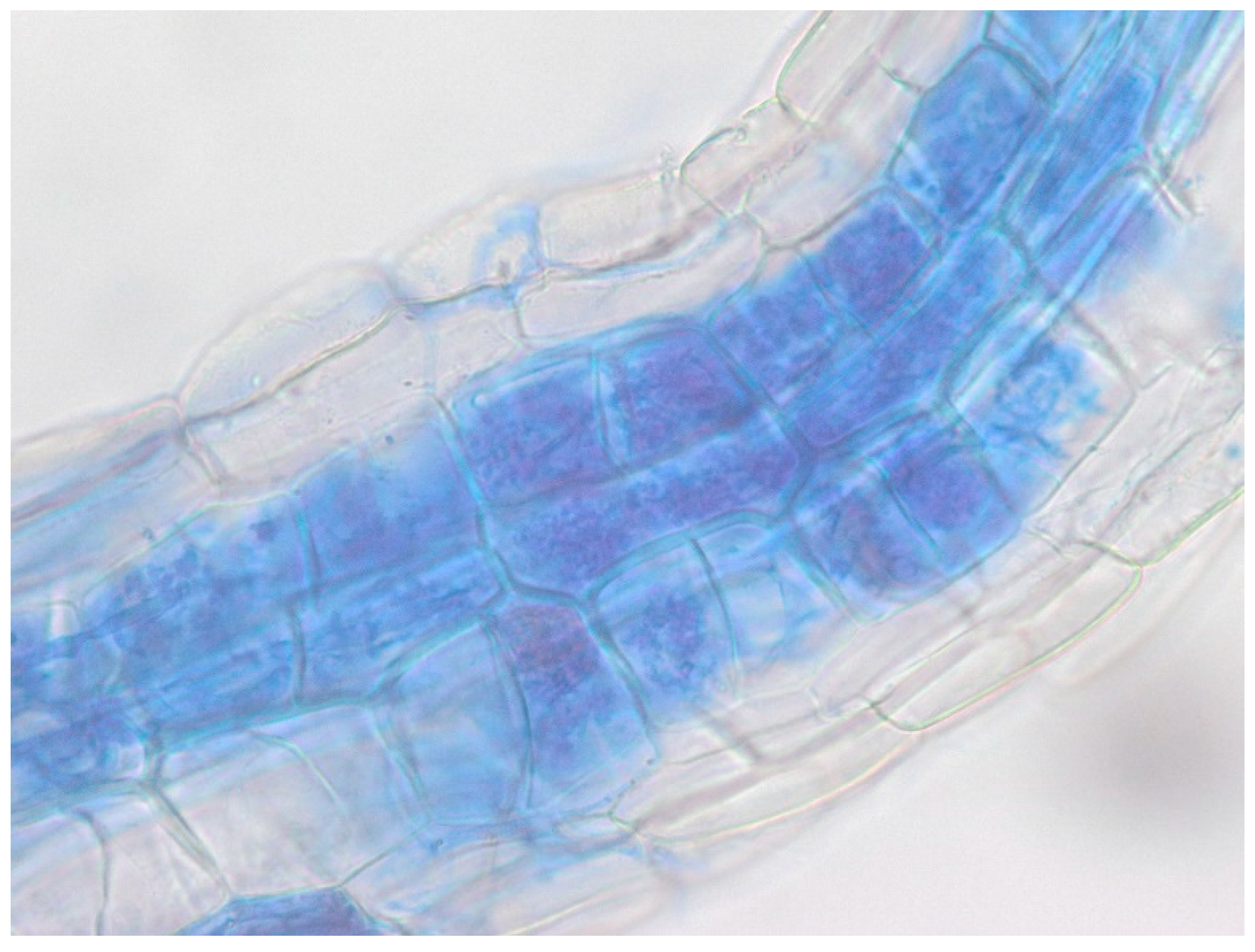 Environments 12 00166 g006