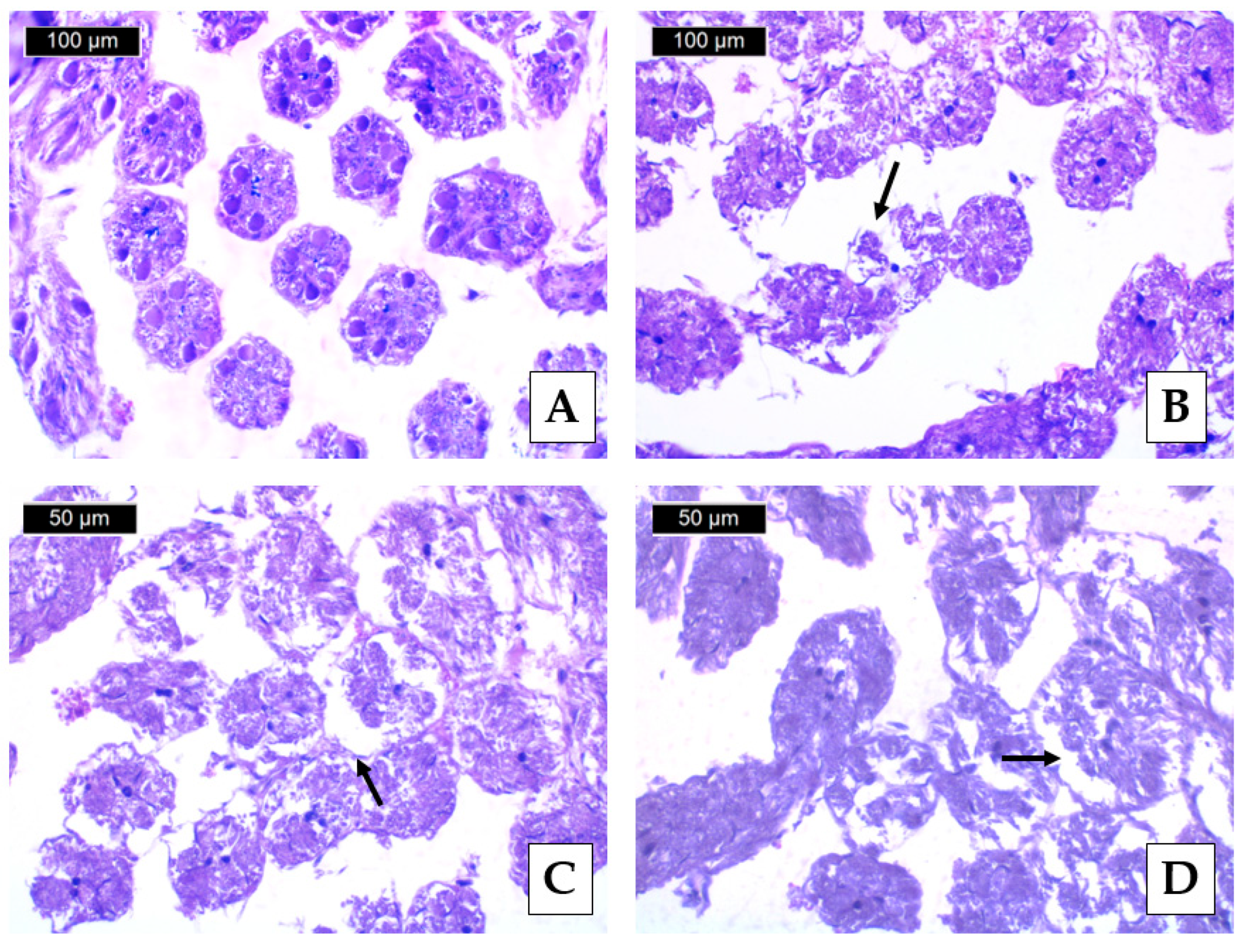 Environments 12 00173 g003