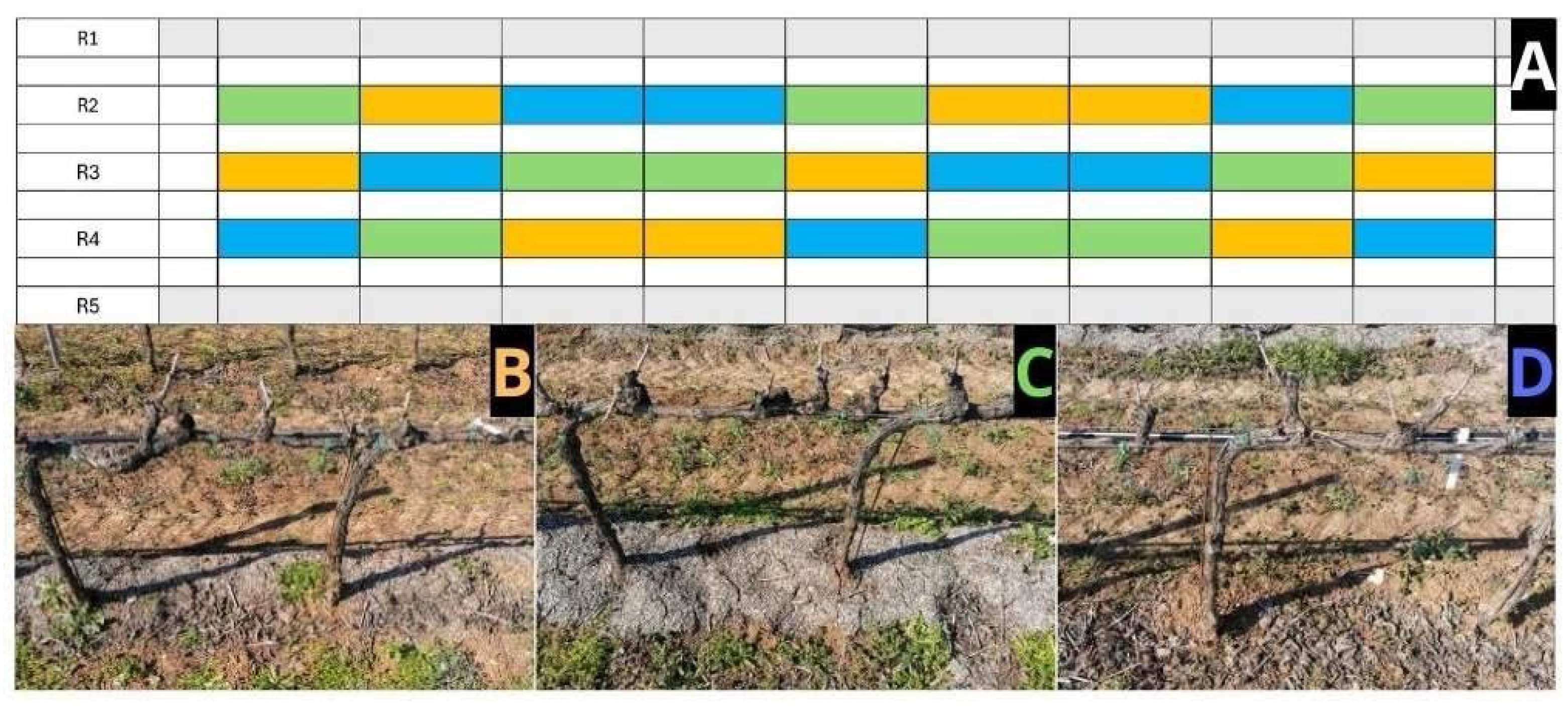 Environments 12 00190 g001