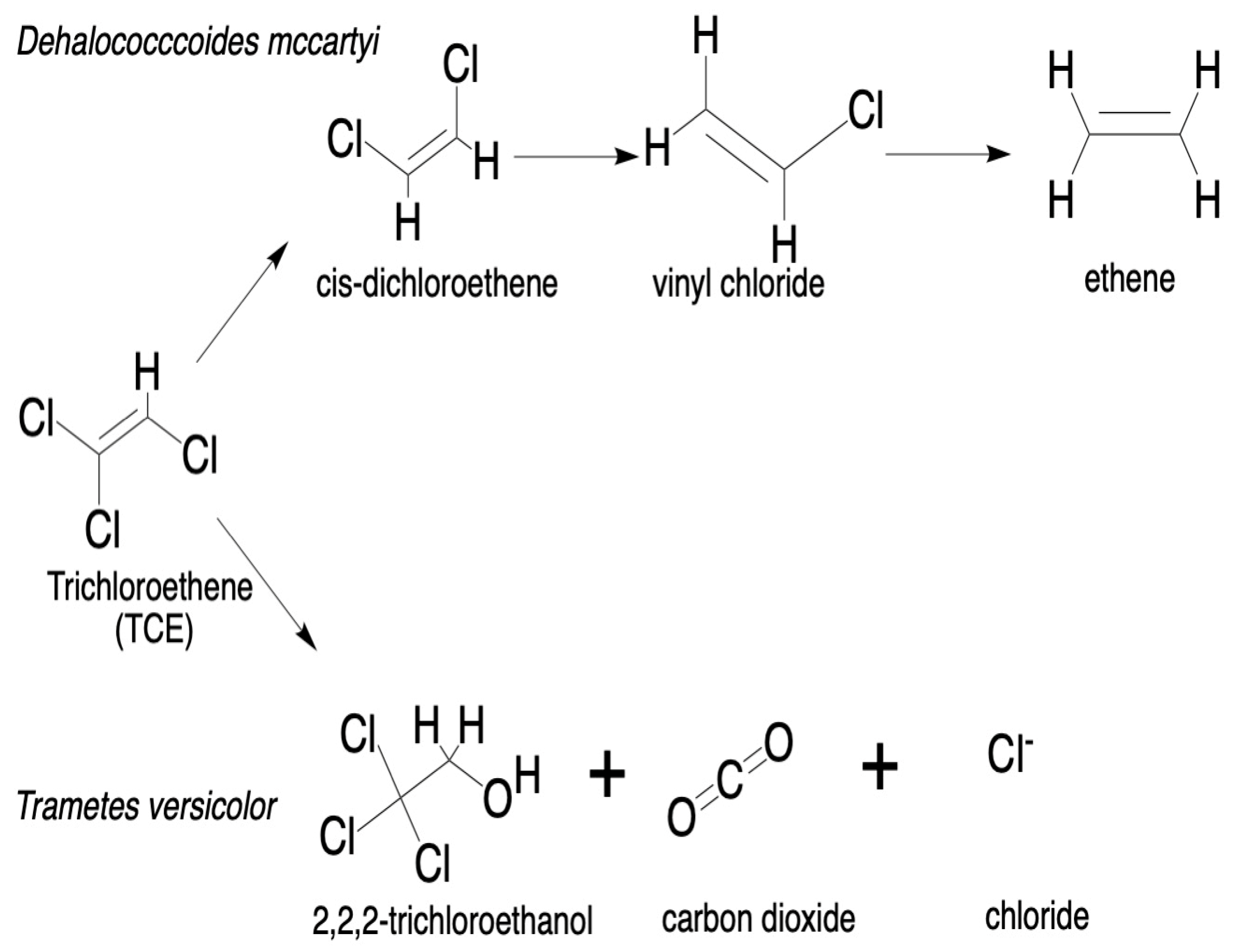 Environments 12 00194 g003