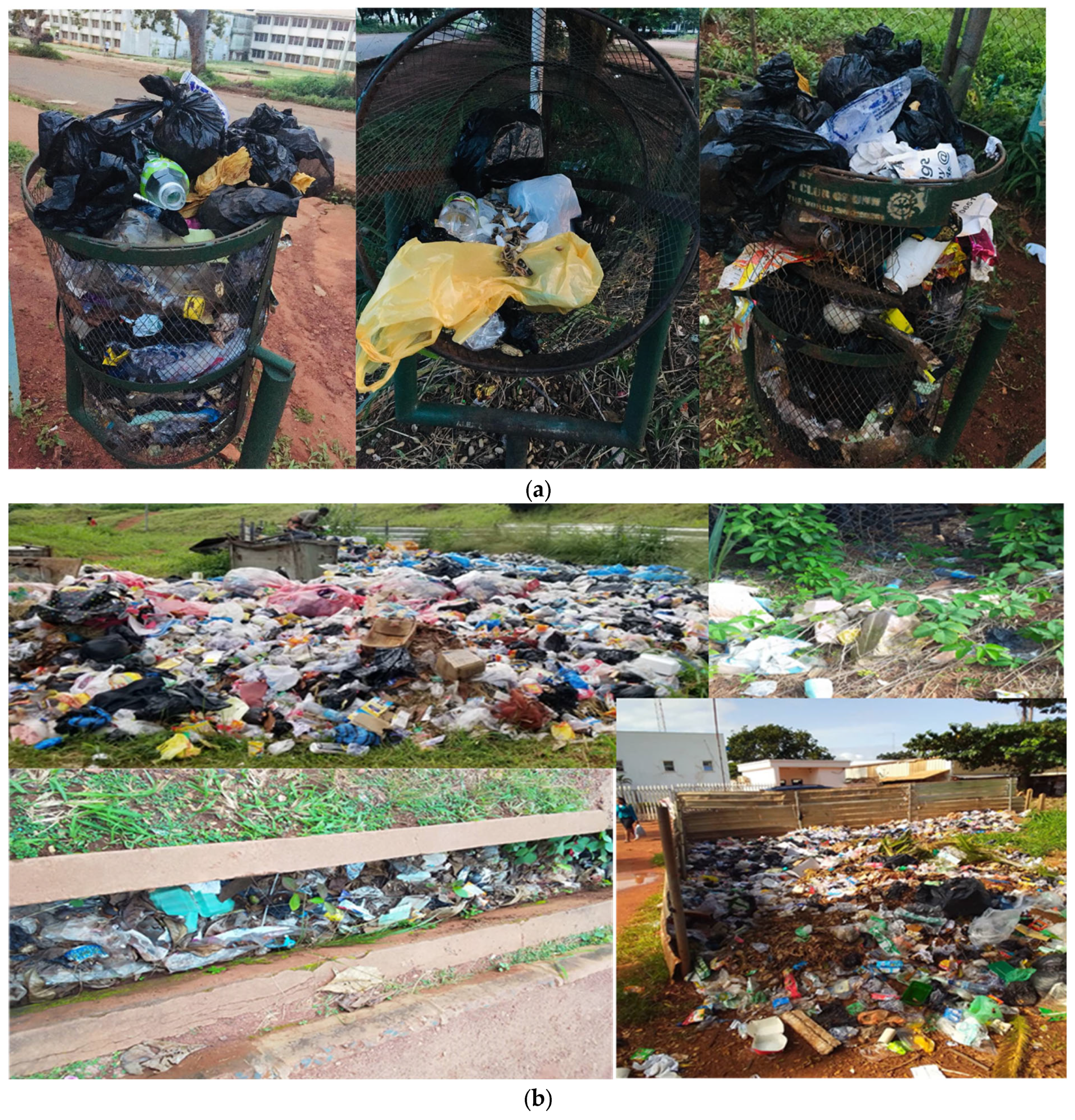 Environments 12 00209 g004