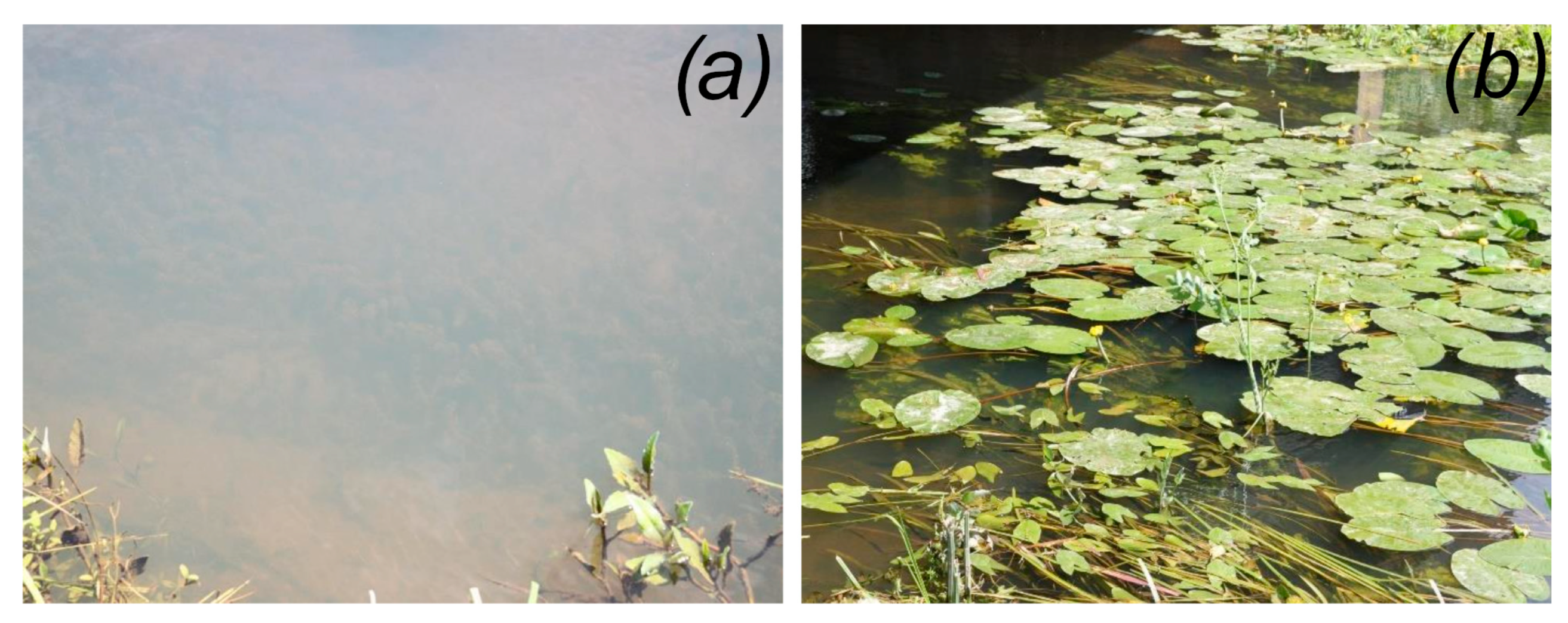 Environments 12 00235 g004