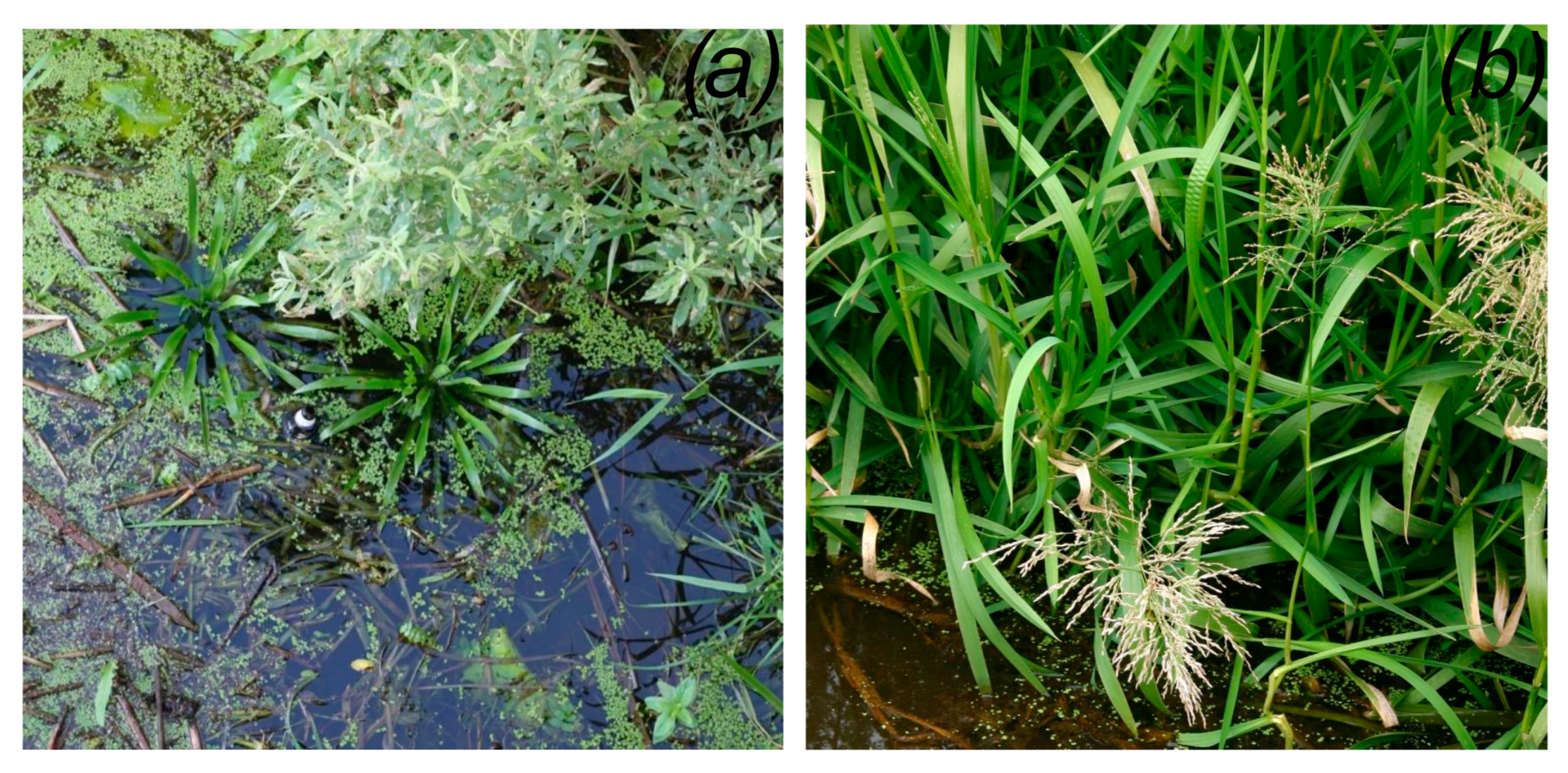 Environments 12 00235 g005