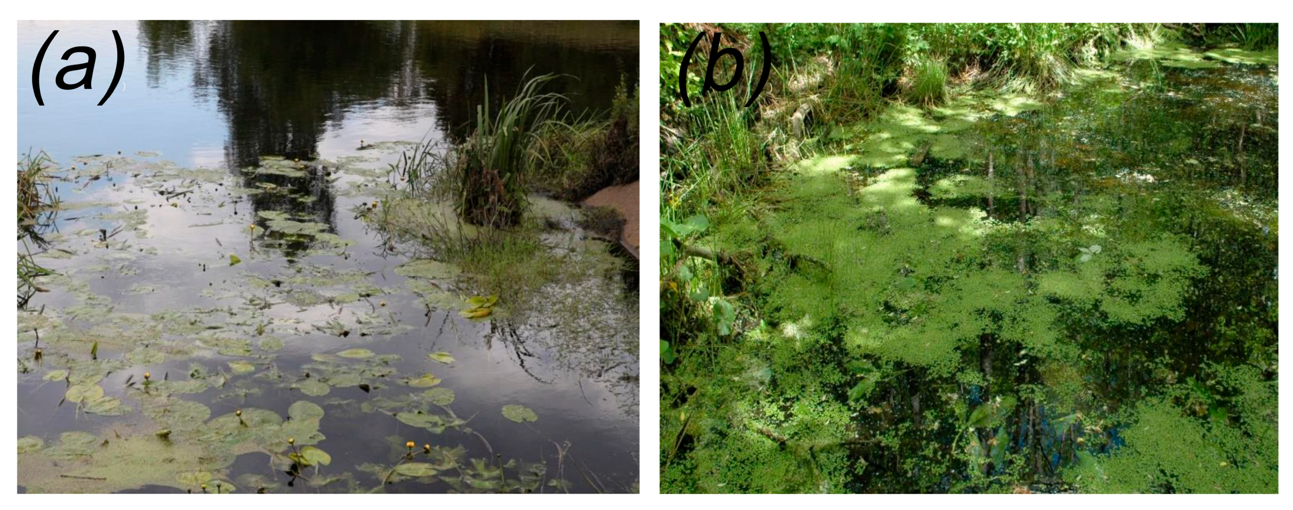 Environments 12 00235 g006