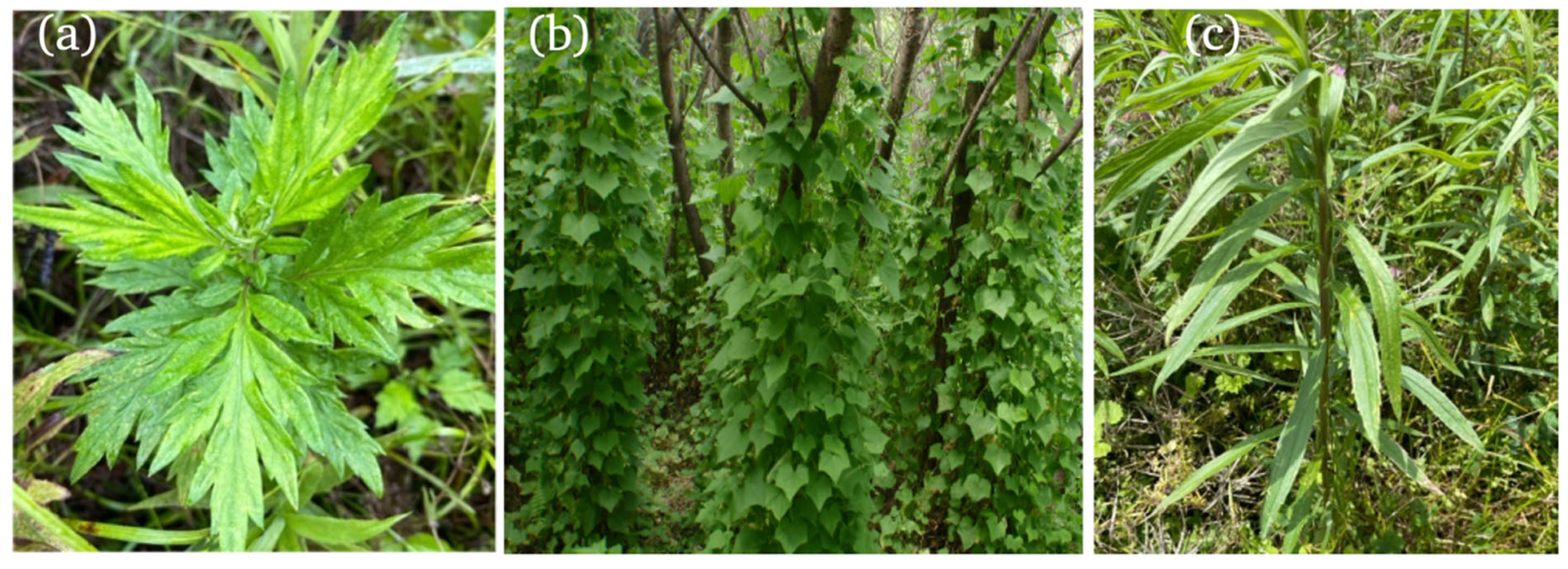 Environments 12 00247 g001