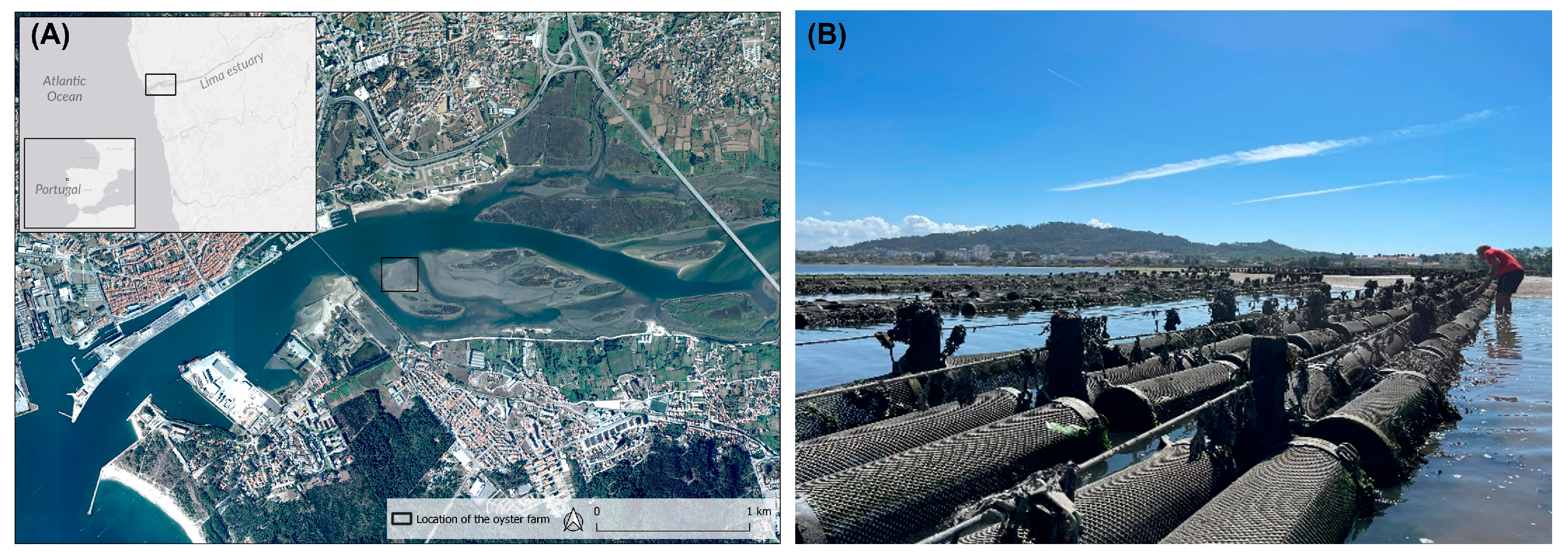 Environments 12 00254 g001