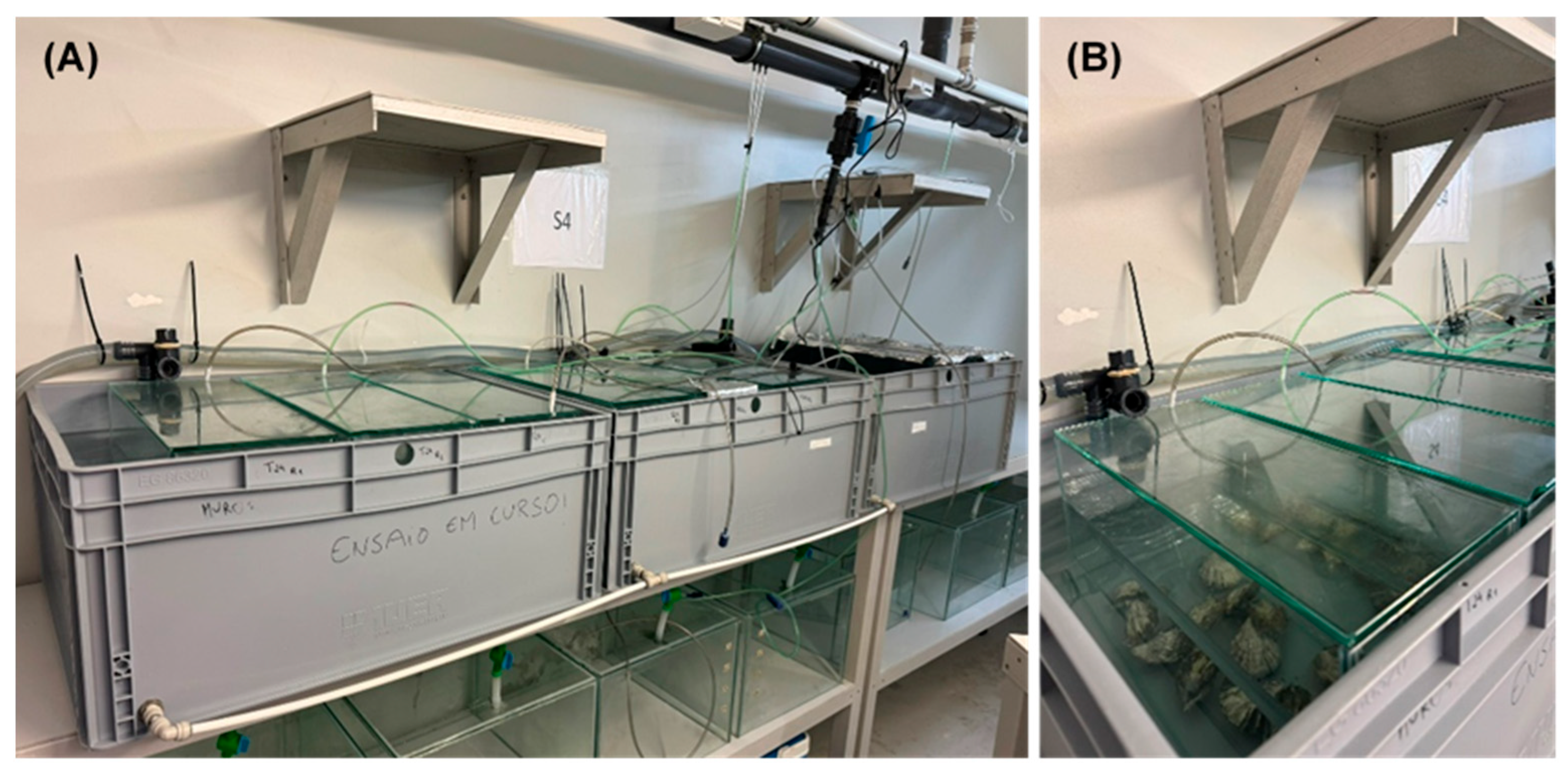 Environments 12 00254 g002