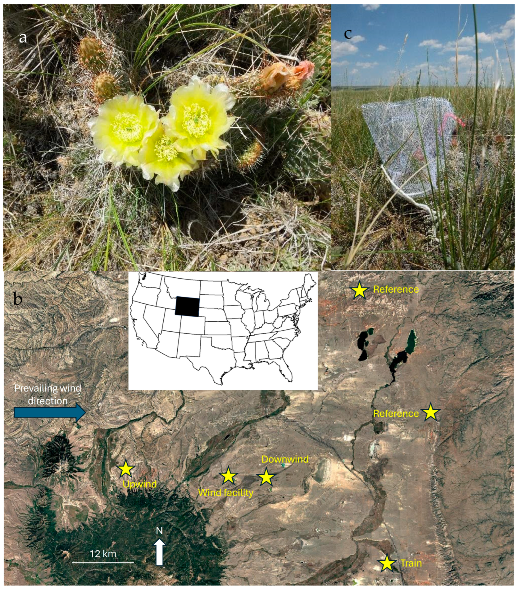 Environments 12 00266 g001