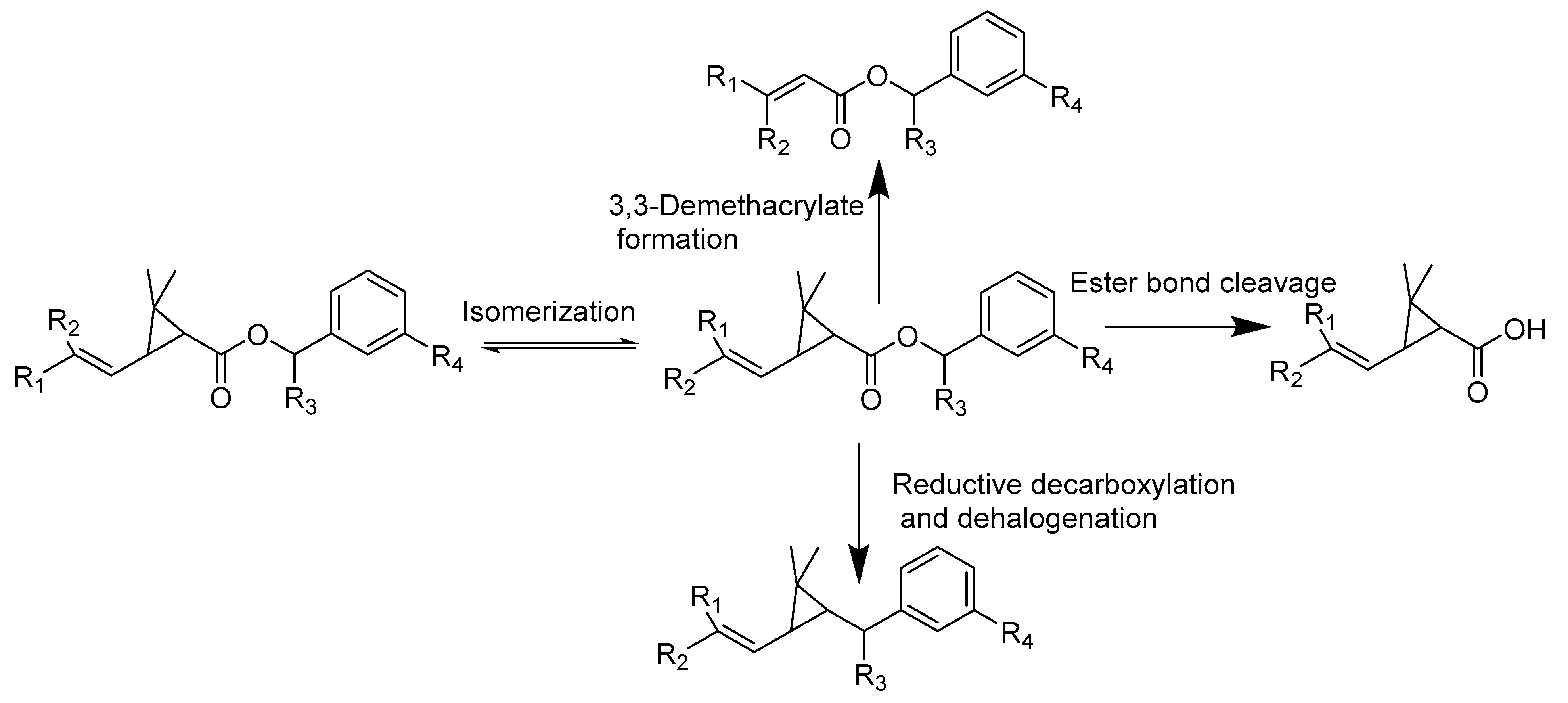 Environments 12 00272 g002 Environments 12 00272 g002