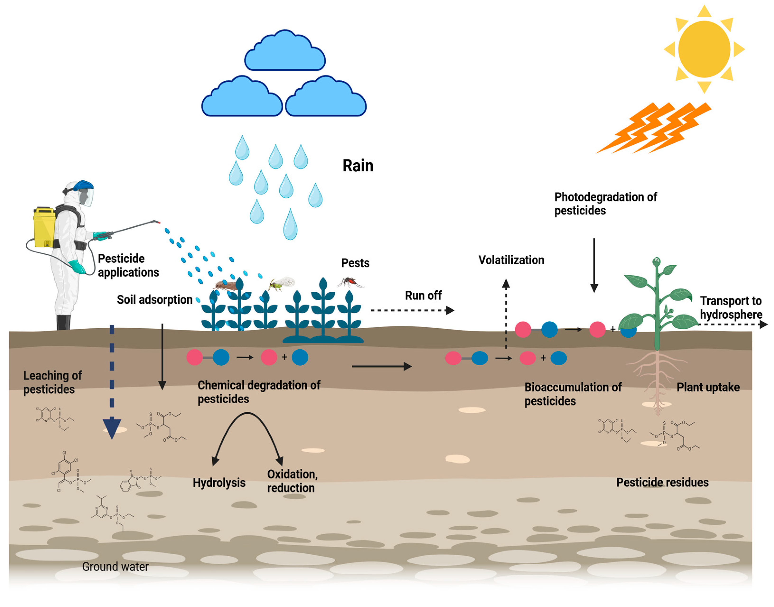 Environments 12 00272 g003 Environments 12 00272 g003
