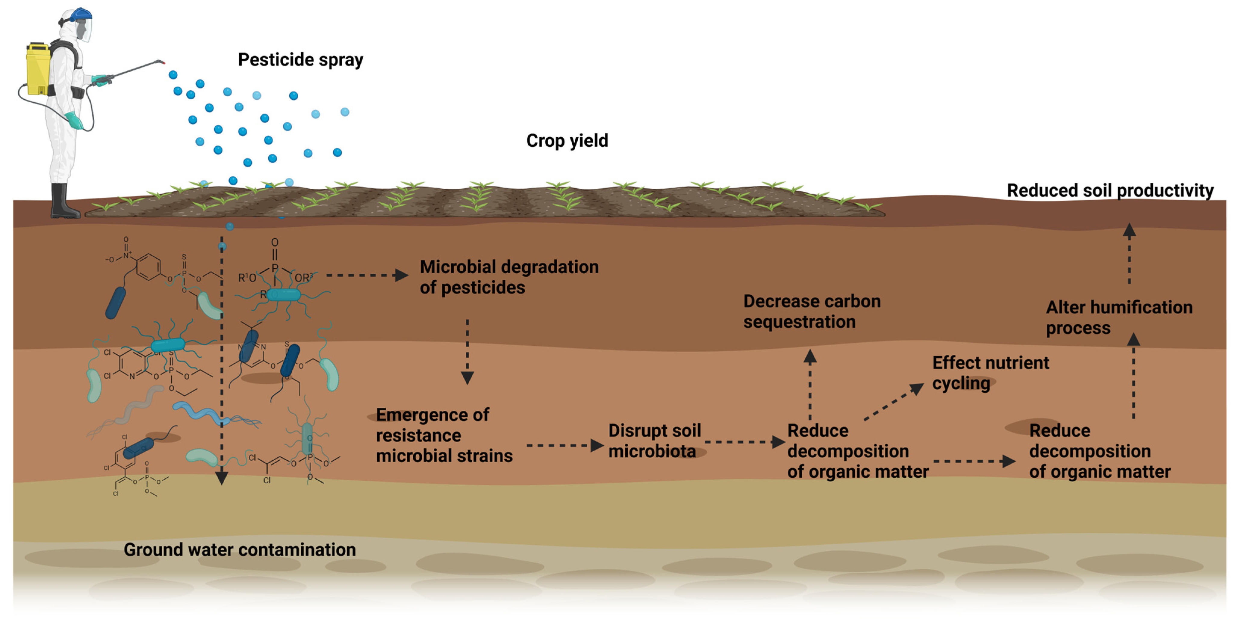 Environments 12 00272 g005 Environments 12 00272 g005