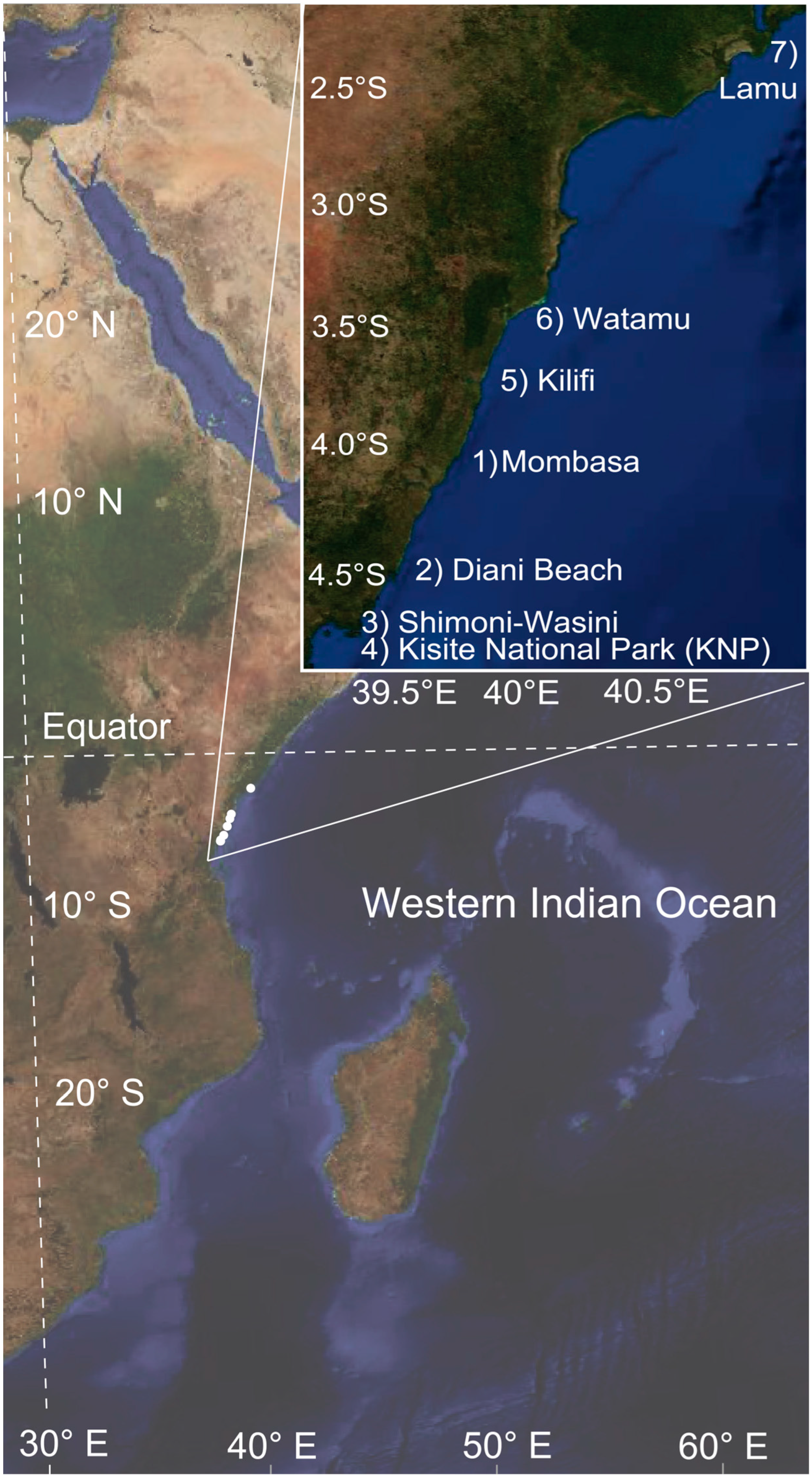 Environments 12 00276 g001 Environments 12 00276 g001