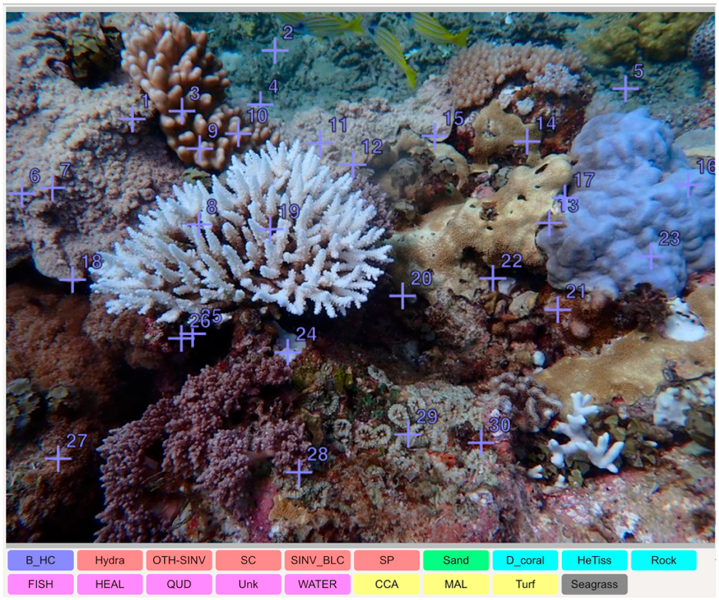 Environments 12 00276 g002 Environments 12 00276 g002