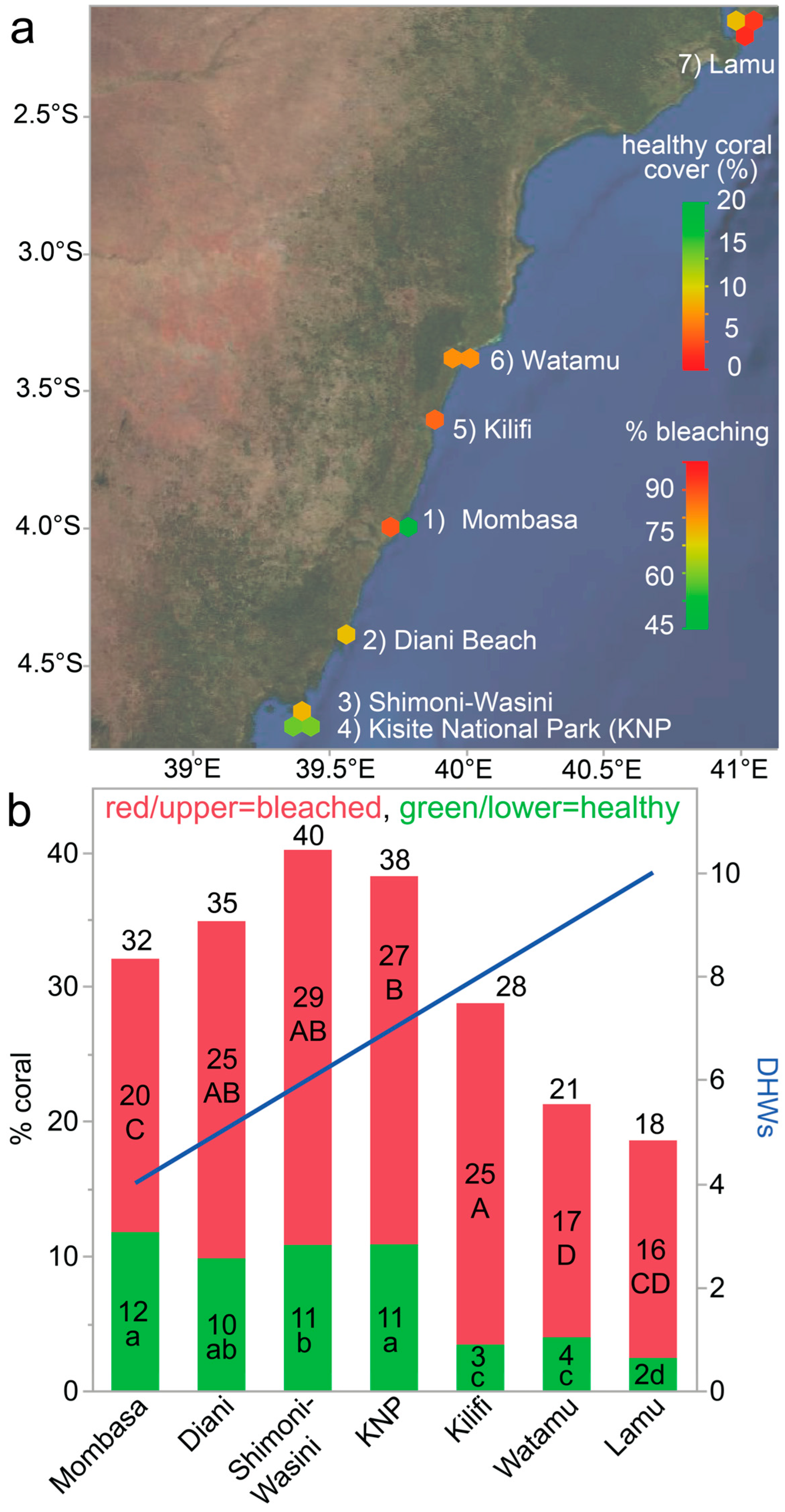 Environments 12 00276 g005 Environments 12 00276 g005